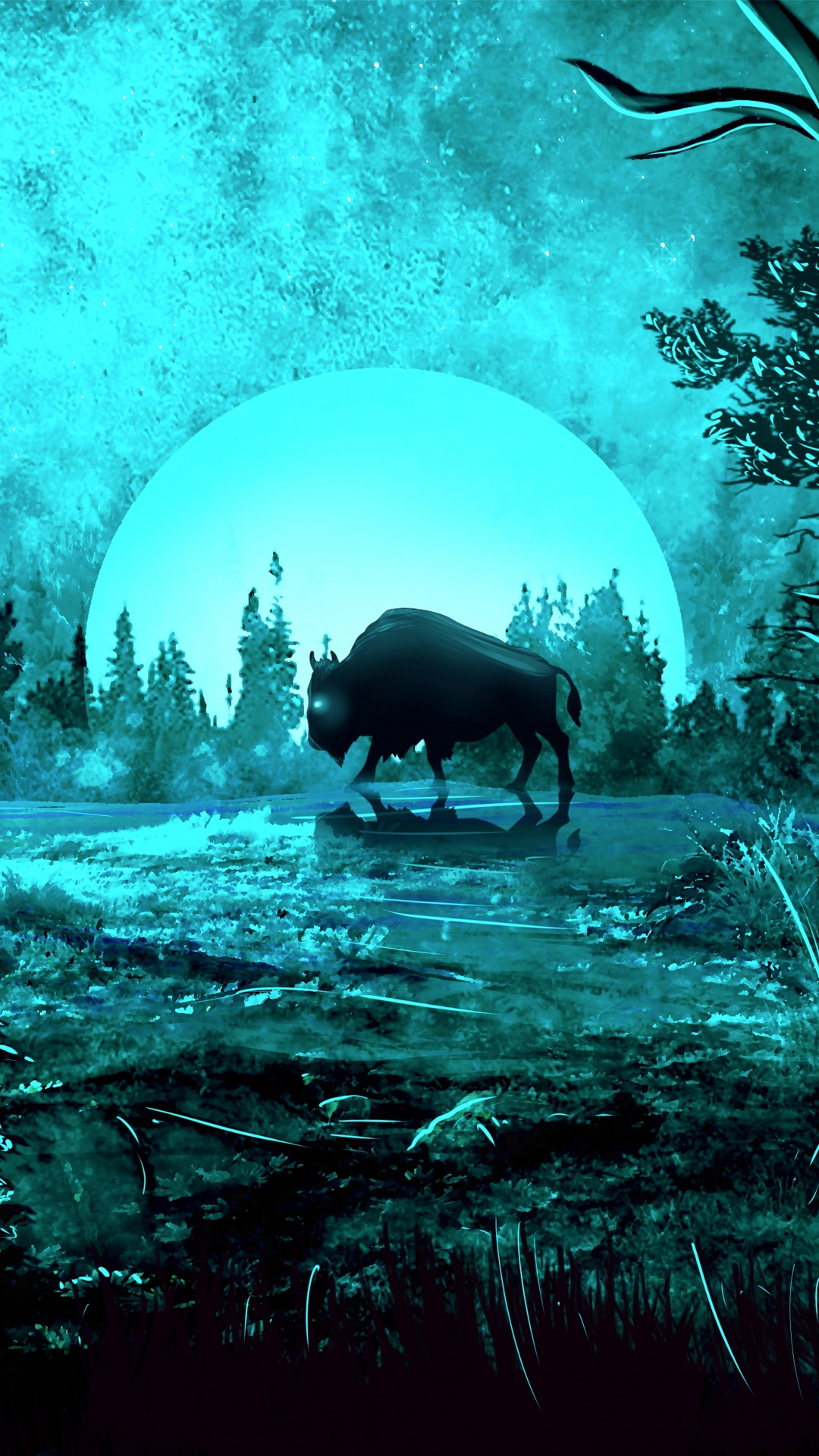 Обои старовозрастные леса, биом, темнота, лес, окружающая среда в разрешении 1080x1920