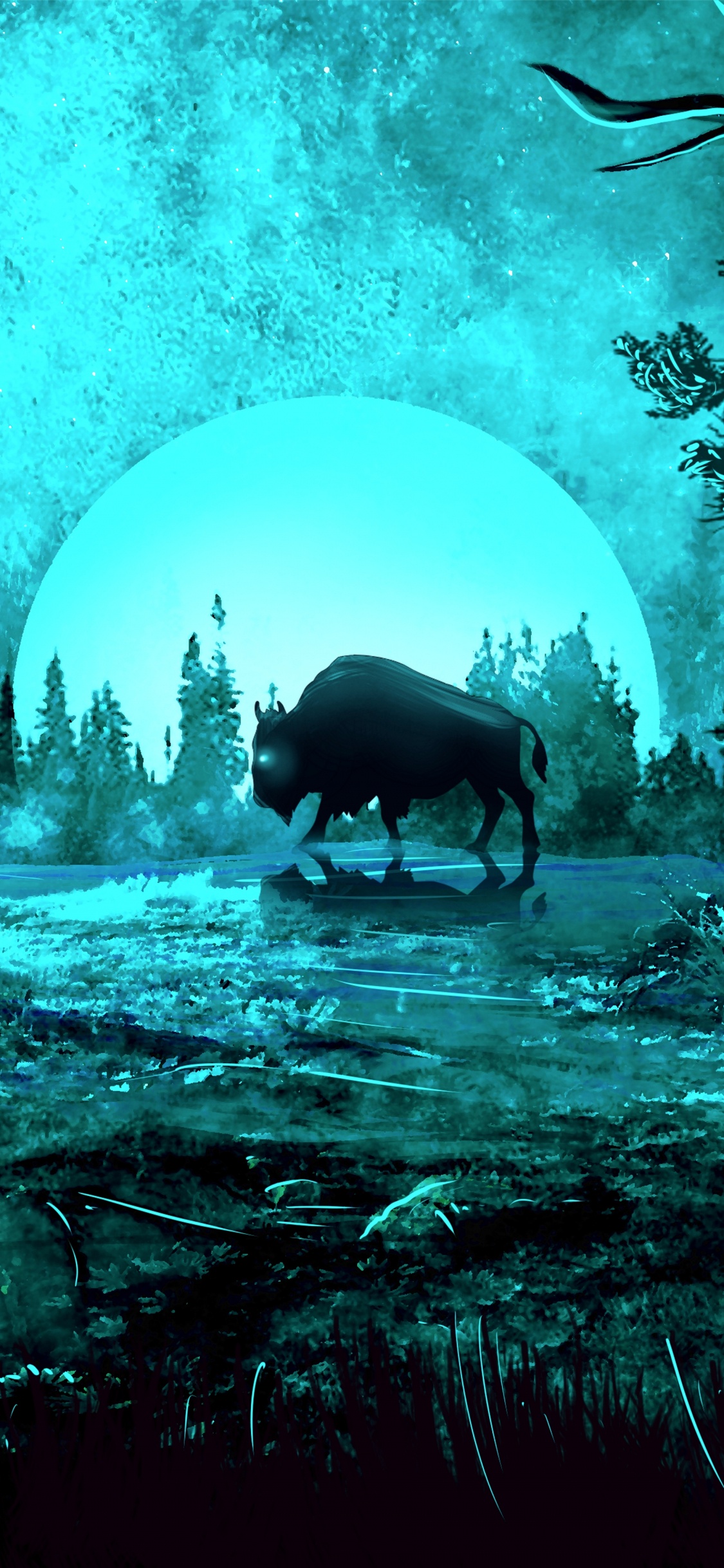 Обои старовозрастные леса, биом, темнота, лес, окружающая среда в разрешении 1125x2436