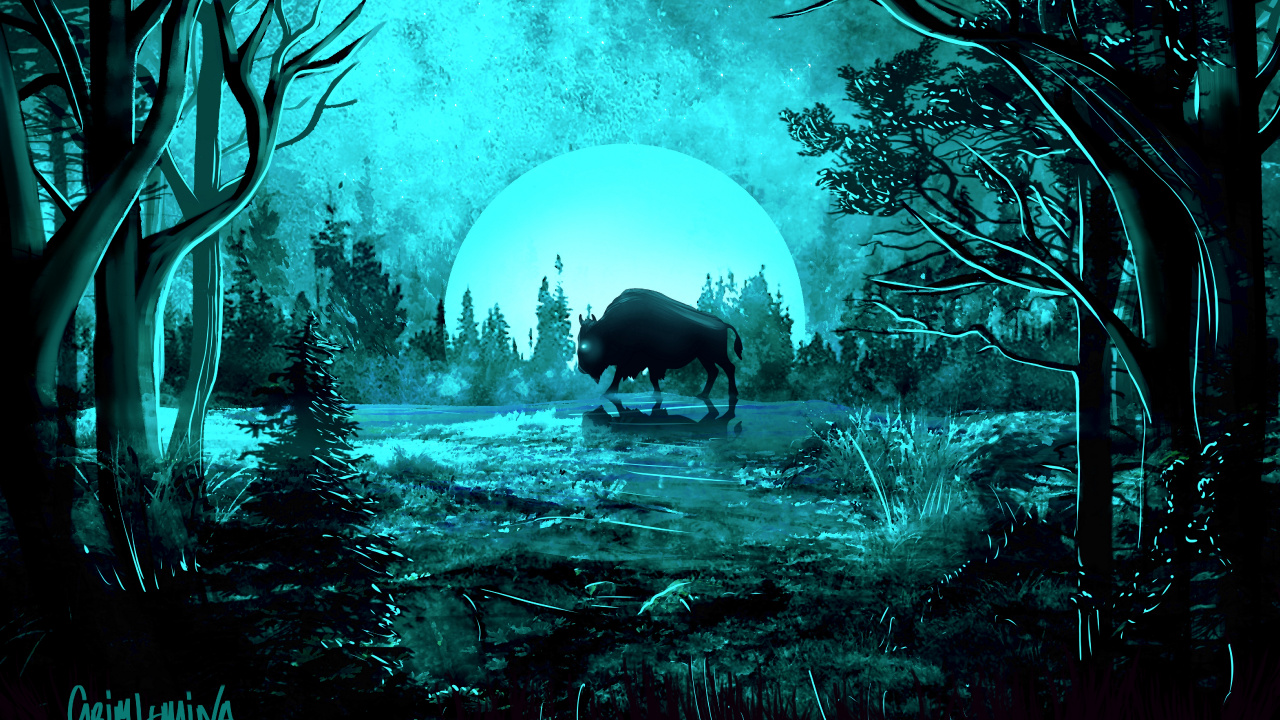 Обои старовозрастные леса, биом, темнота, лес, окружающая среда в разрешении 1280x720