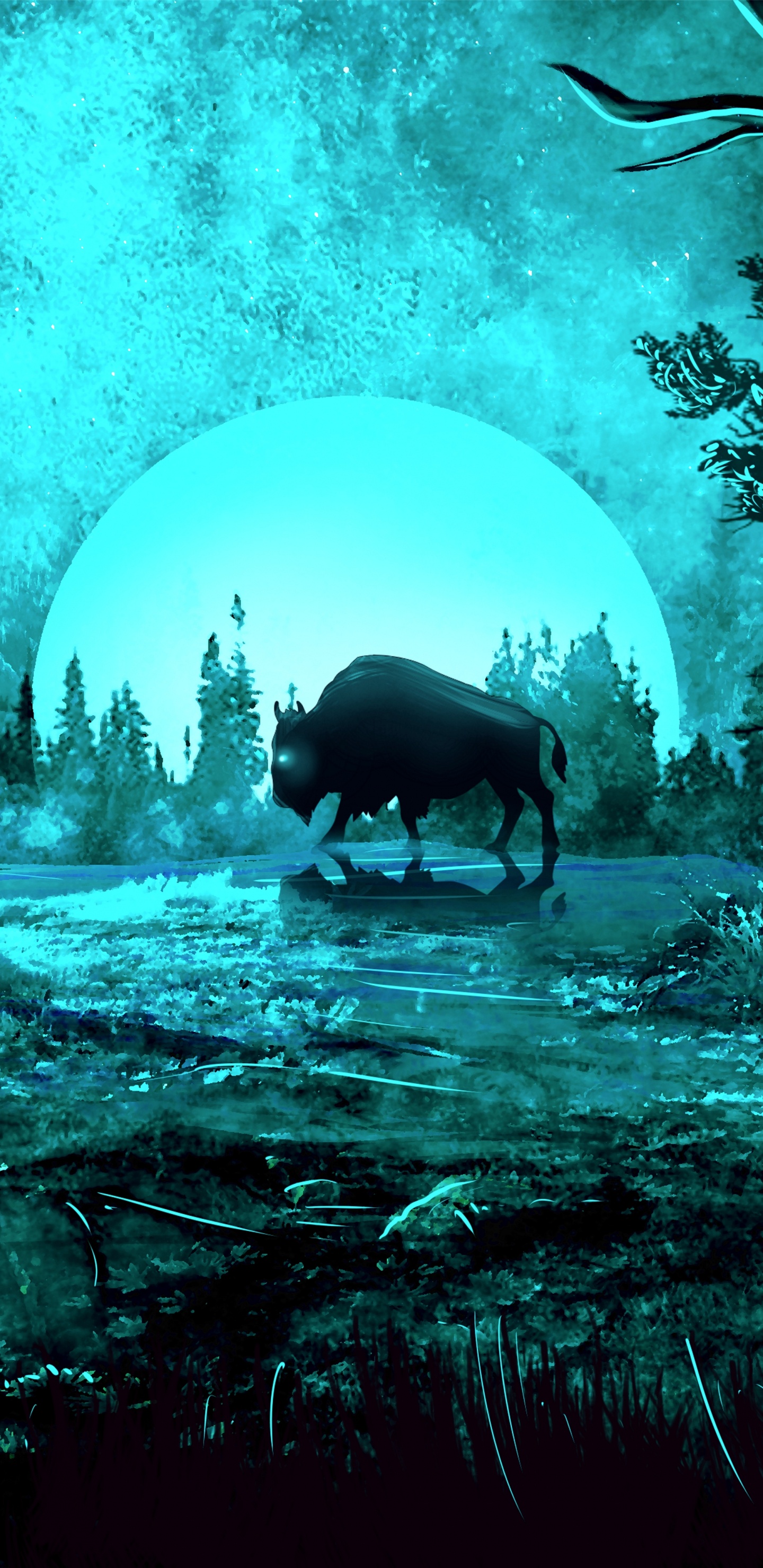 Обои старовозрастные леса, биом, темнота, лес, окружающая среда в разрешении 1440x2960