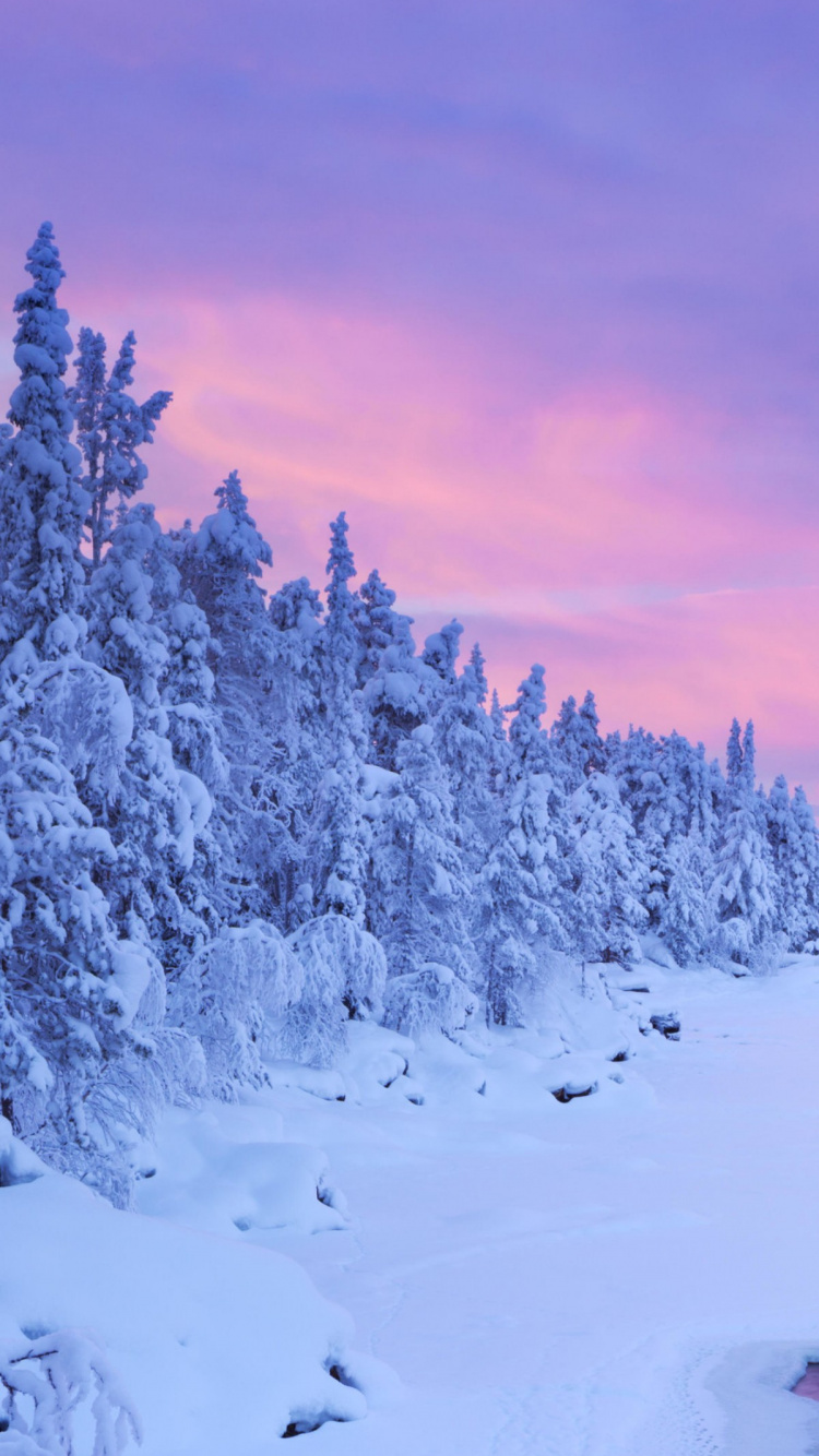 Обои закат, зима, природа, Лапландия, облако в разрешении 750x1334