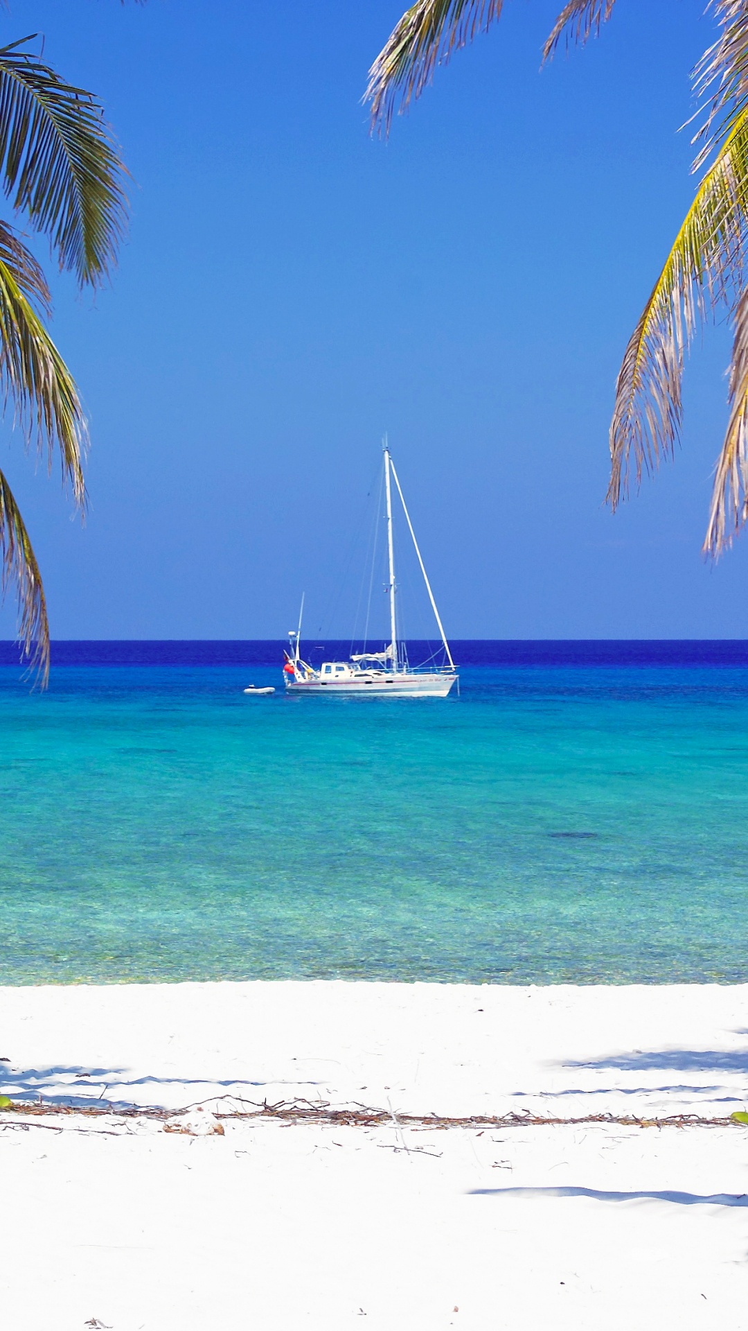 Обои пляж, тропическая зона, Пальма, Карибский бассейн, отпуск в разрешении 1080x1920