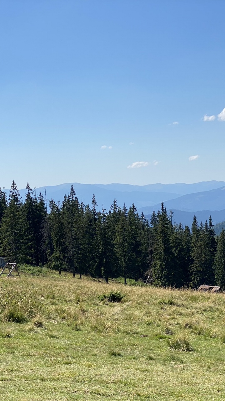 Обои дикая местность, Groundstck, участок под застройку, земельный участок, окружающая среда в разрешении 720x1280