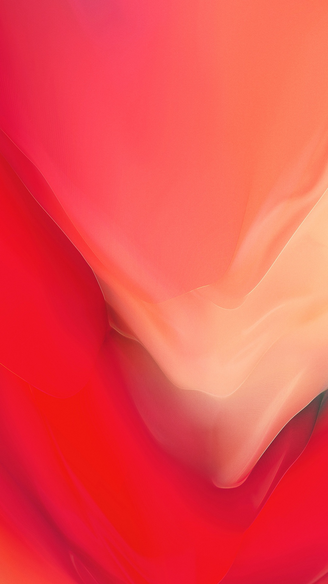 Обои OnePlus 6, цветок, растение, лепесток, пурпурный цвет в разрешении 1080x1920