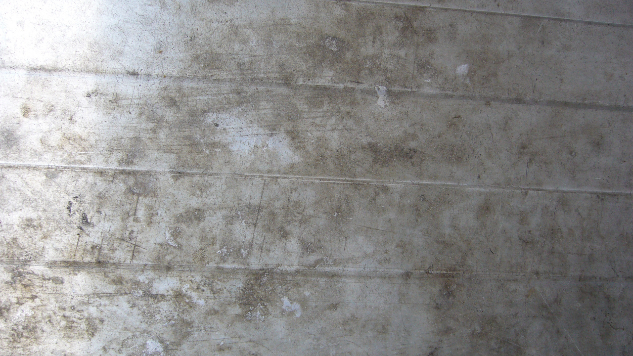 Обои стена, бетон, цвет, цемент, серый цвет в разрешении 1280x720