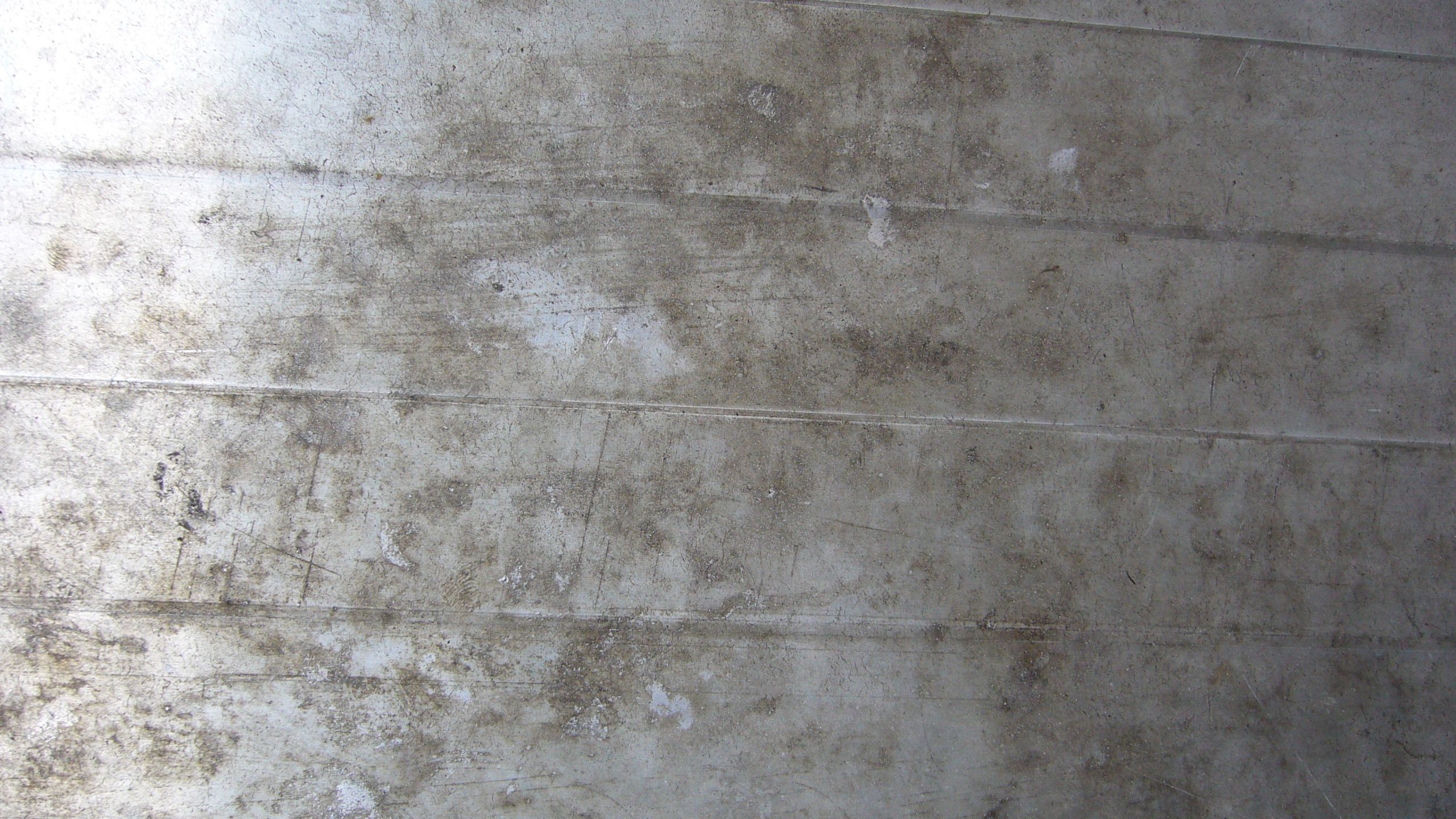 Обои стена, бетон, цвет, цемент, серый цвет в разрешении 2560x1440