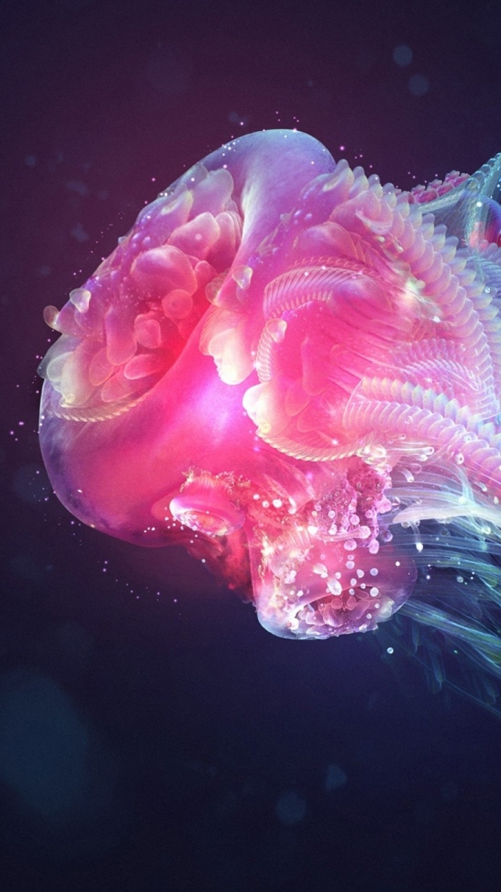 Обои Медуза, cnidaria, морские беспозвоночные, морская биология, подземные воды в разрешении 720x1280