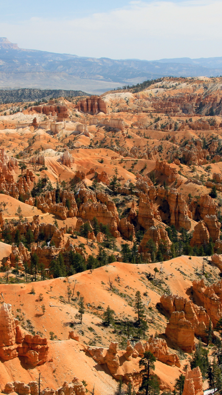 Обои национальный парк Брайсканьон, национальный парк зайон, национальный парк, парк, Брайс-Каньон, национальный парк Зайон в разрешении 750x1334