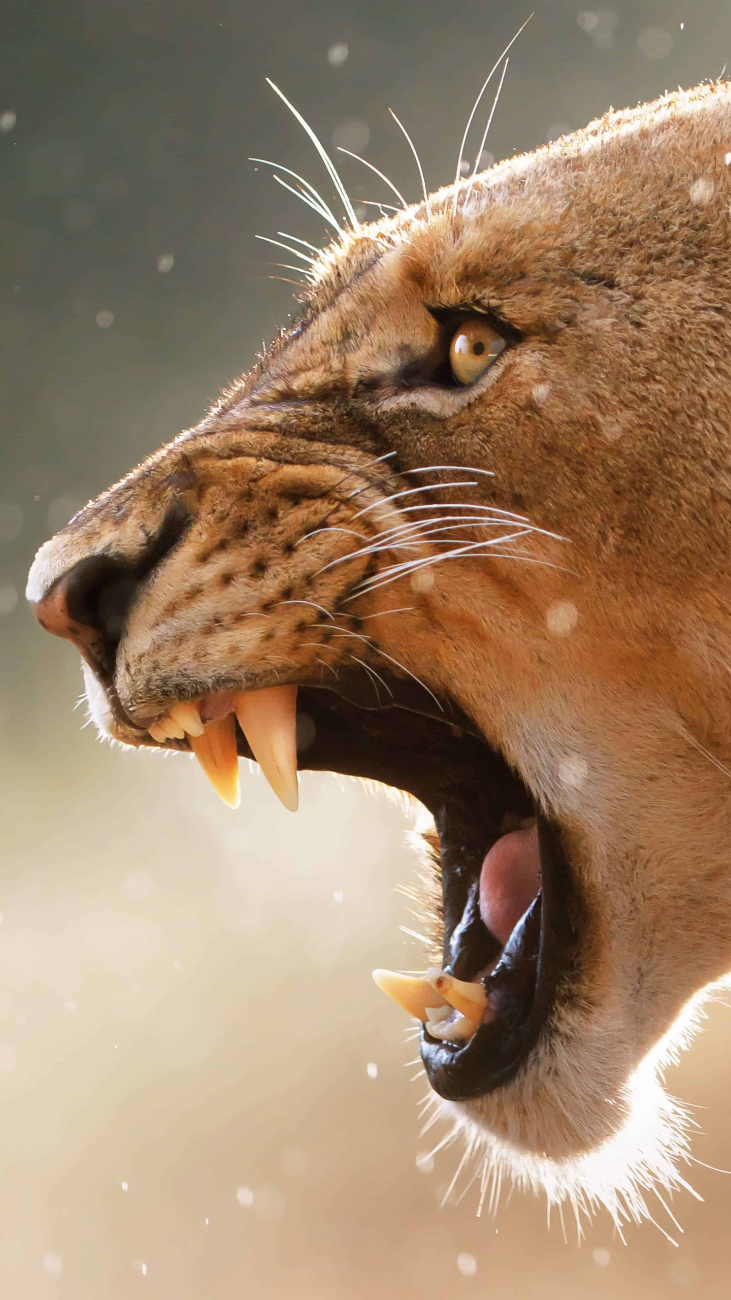 Обои Лев, живая природа, рев, наземные животные, морда в разрешении 1440x2560