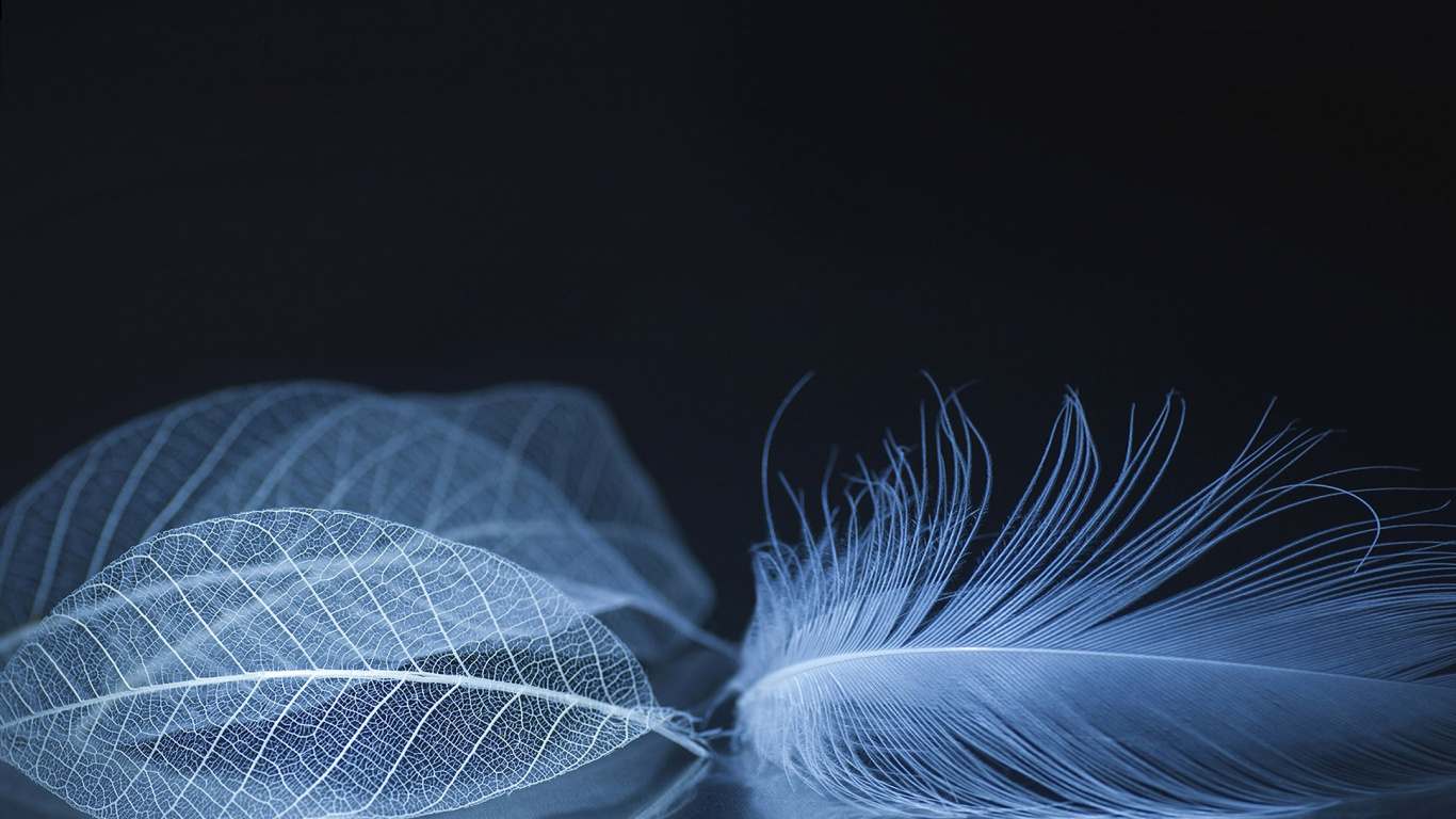 Обои ZTE, ZTE Axon M, zte аксон, zte аксон 10 про, смартфон в разрешении 1366x768