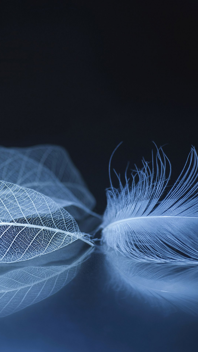 Обои ZTE, ZTE Axon M, zte аксон, zte аксон 10 про, смартфон в разрешении 750x1334