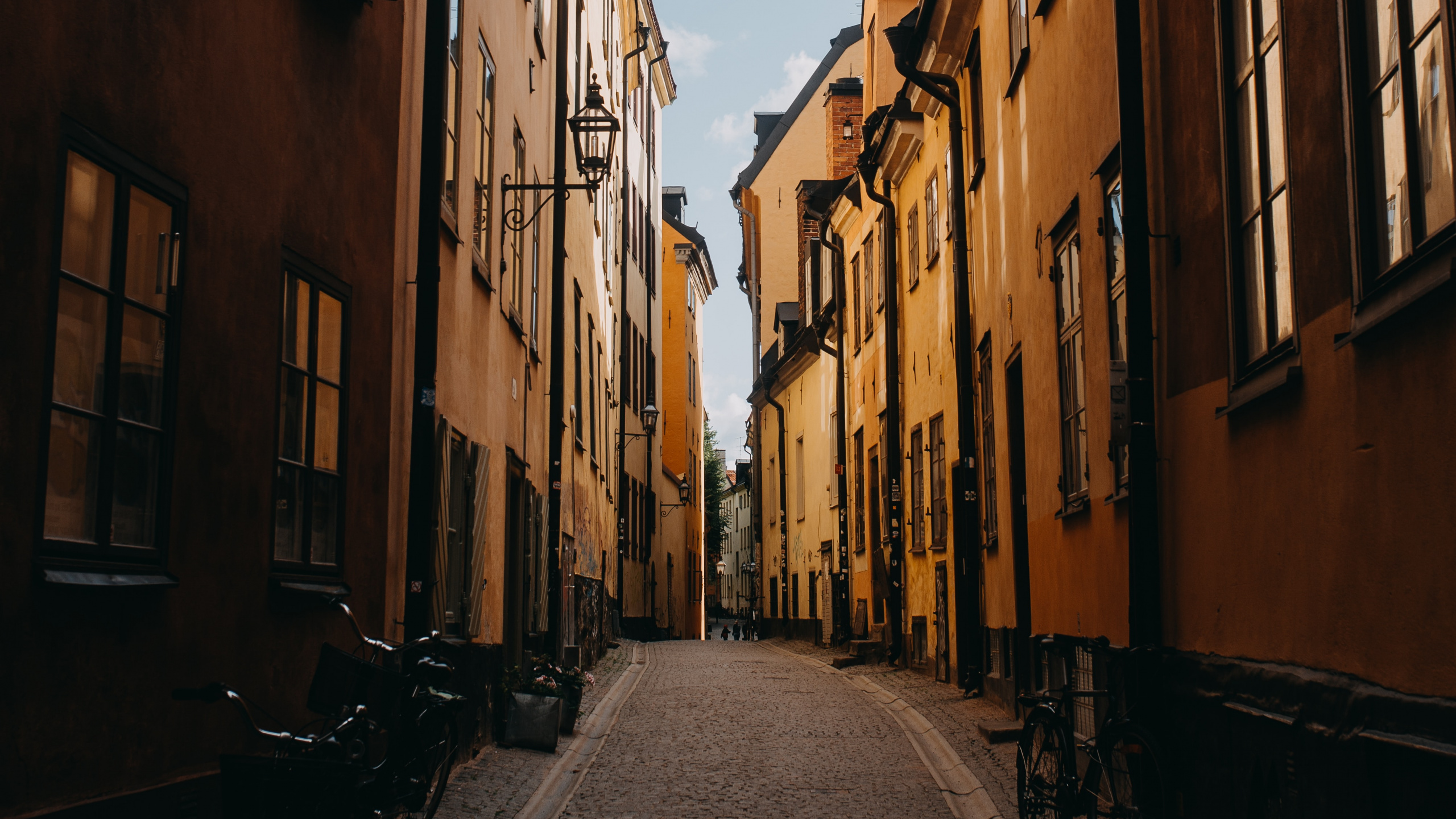 Обои улица, городок, дорога, аллея, соседство в разрешении 2560x1440