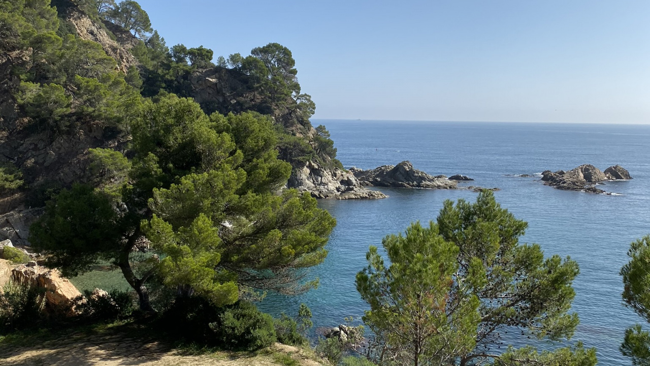 Обои побережье, растительность, природный ландшафт, Банк, берег в разрешении 1280x720