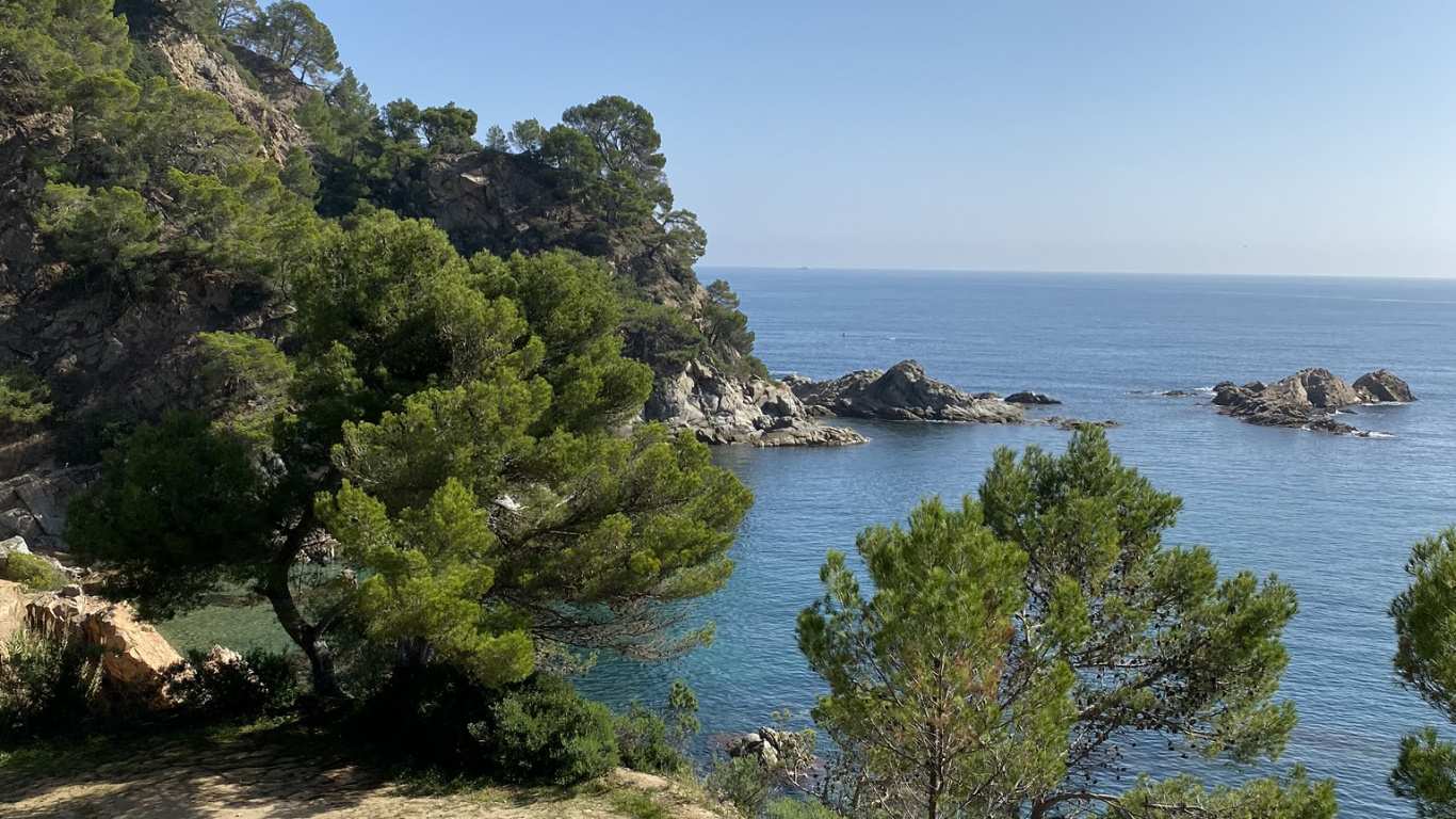 Обои побережье, растительность, природный ландшафт, Банк, берег в разрешении 1366x768