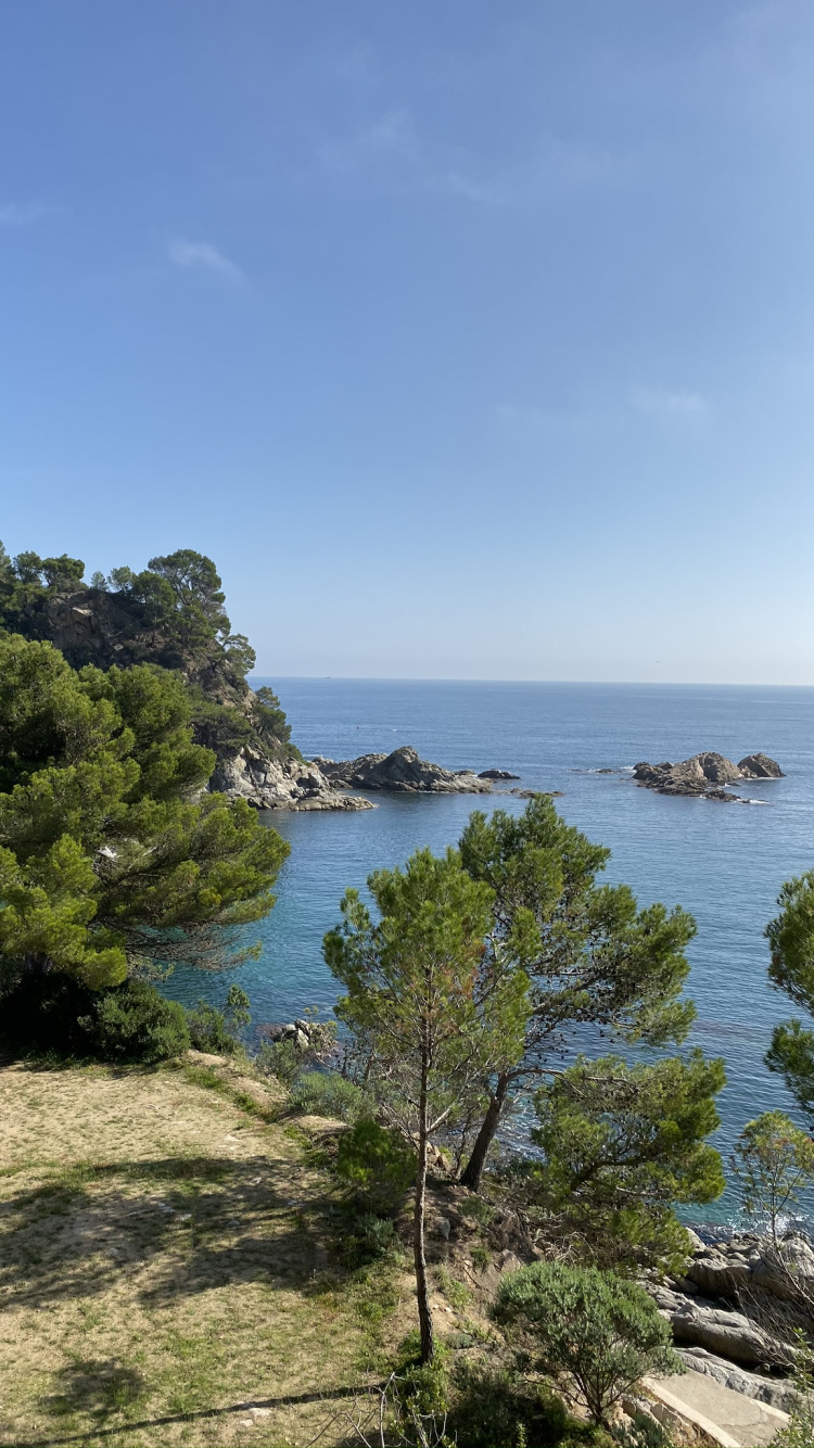 Обои побережье, растительность, природный ландшафт, Банк, берег в разрешении 750x1334