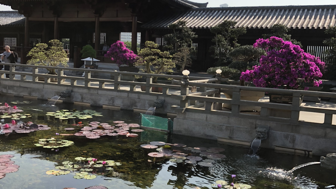 Обои Гонконг, китайская архитектура, туризм, вода, достопримечательность в разрешении 1280x720