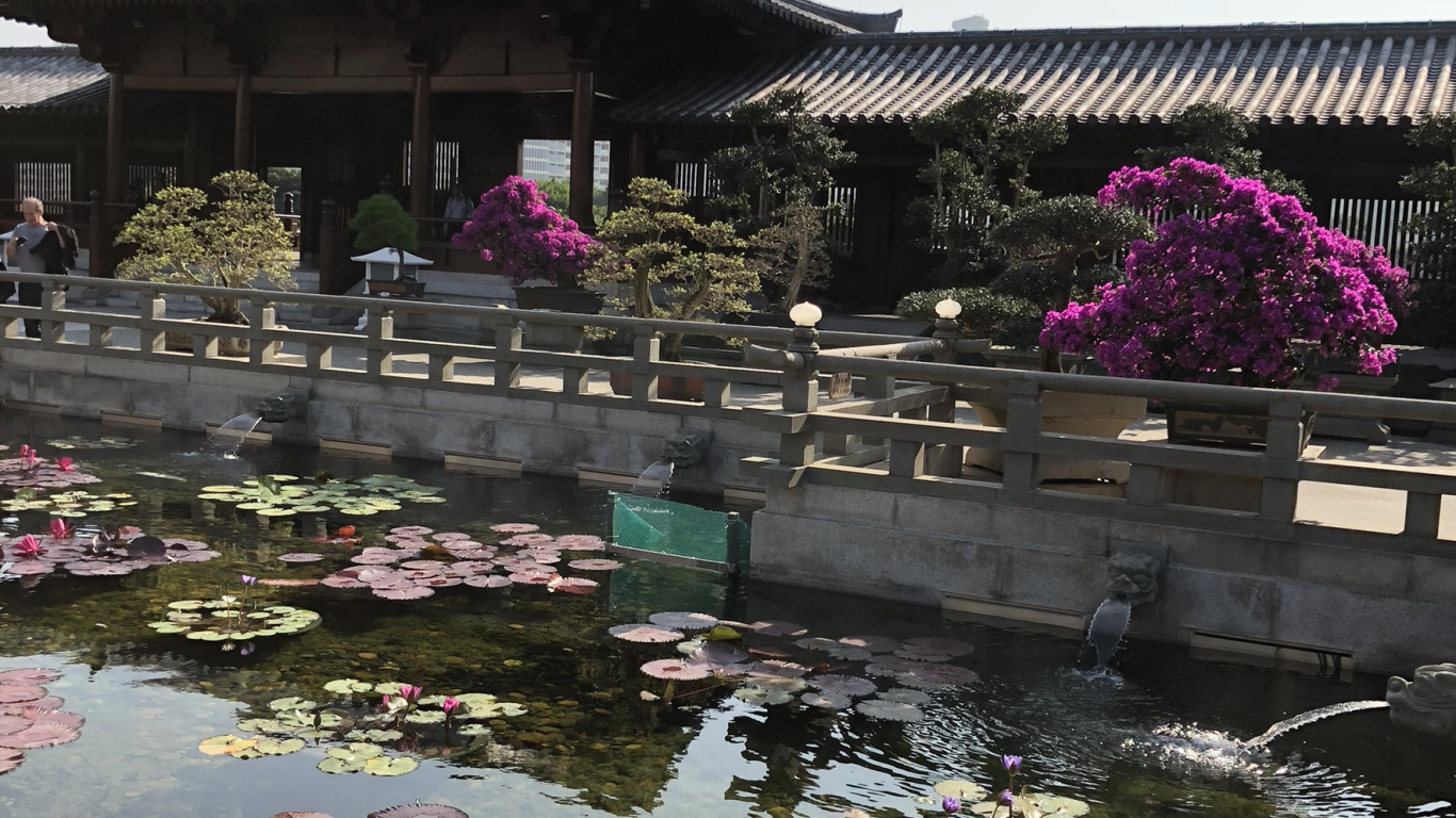 Обои Гонконг, китайская архитектура, туризм, вода, достопримечательность в разрешении 1366x768