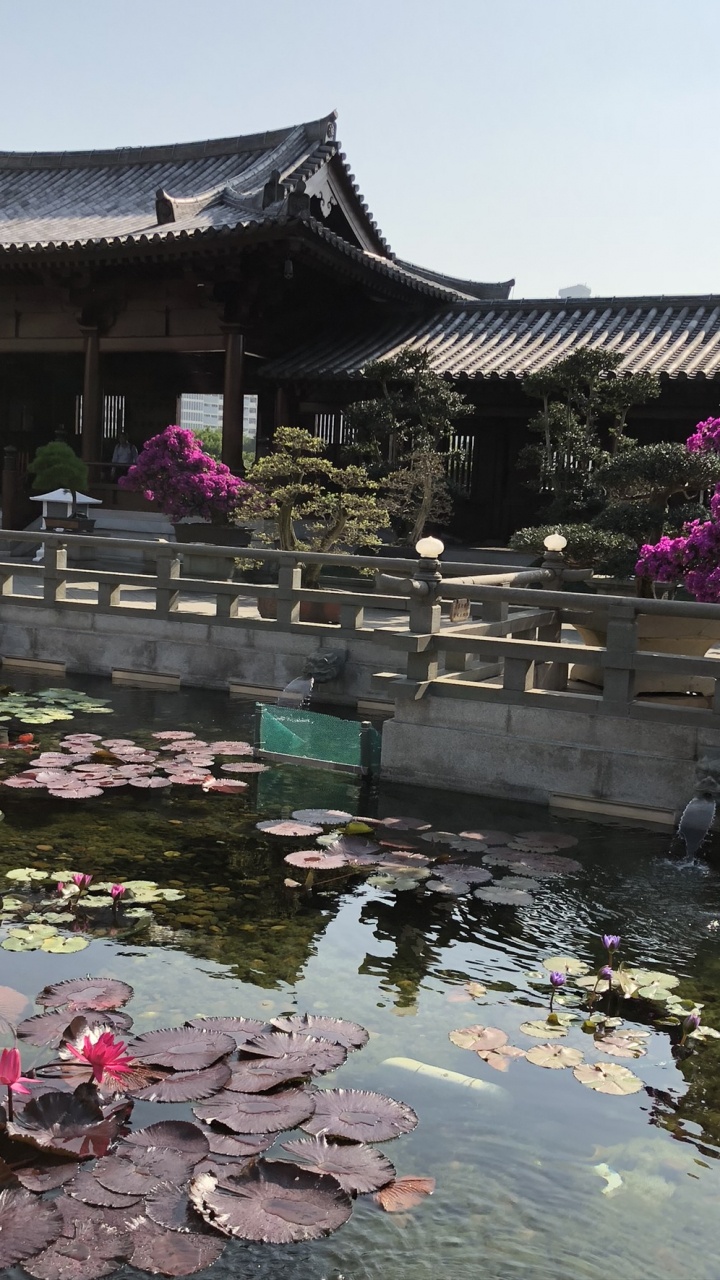 Обои Гонконг, китайская архитектура, туризм, вода, достопримечательность в разрешении 720x1280