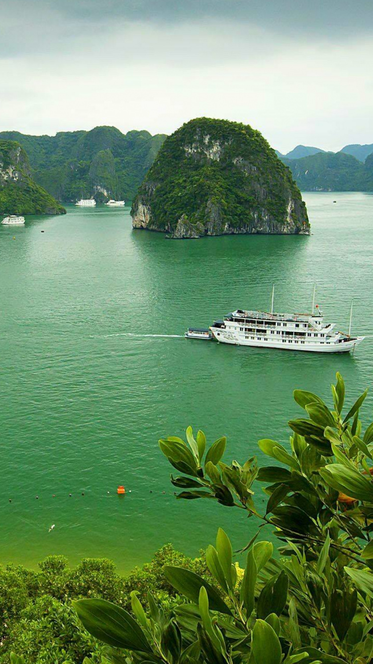 Обои Залив Халонг, залив, водоем, природа, прибрежные и океанические рельефы в разрешении 750x1334