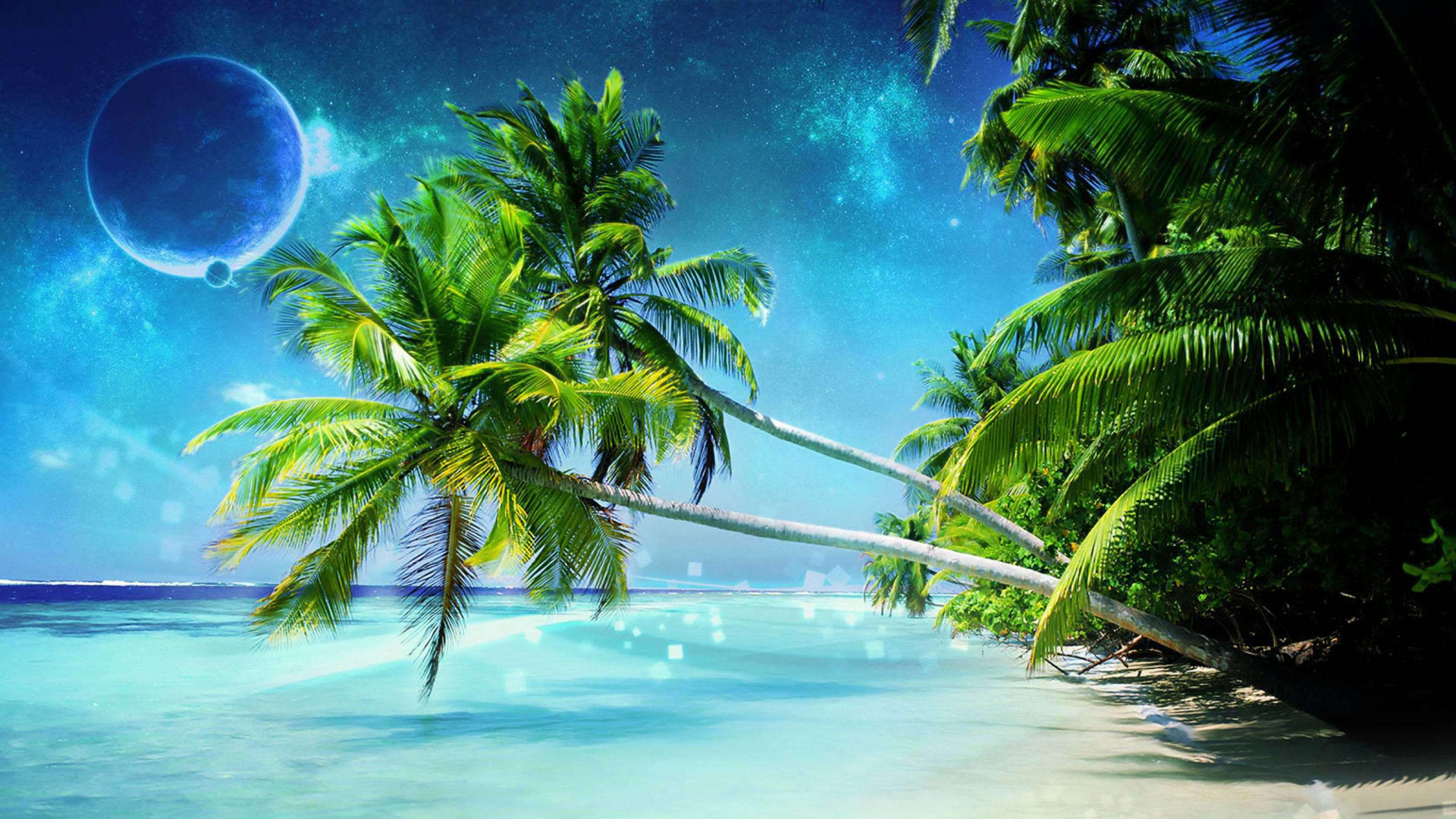 Обои природа, тропическая зона, дерево, Пальма, Карибский бассейн в разрешении 1920x1080