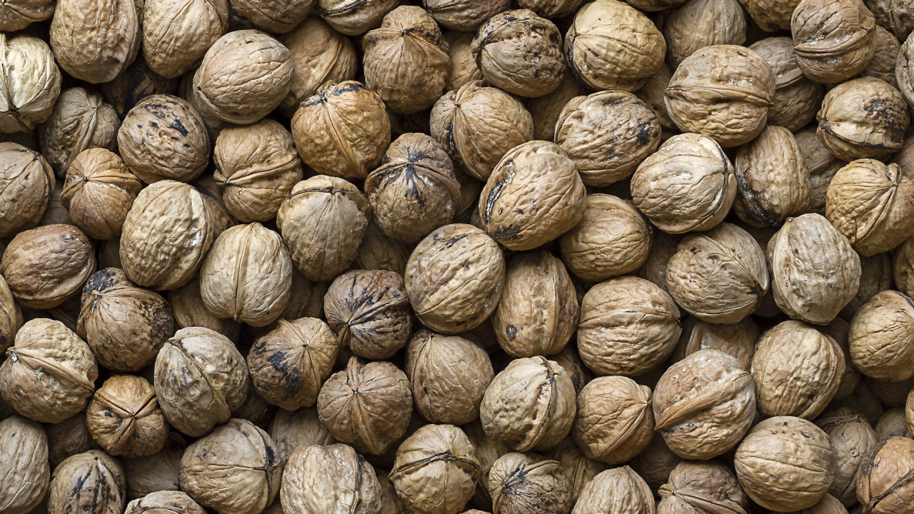 Обои грецкий орех, гайка, пища, фрукты, ингредиент в разрешении 1280x720