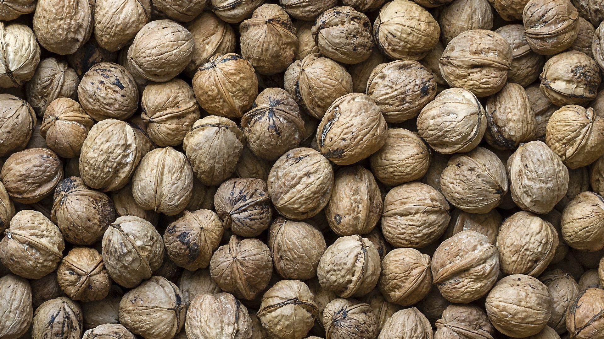 Обои грецкий орех, гайка, пища, фрукты, ингредиент в разрешении 1920x1080