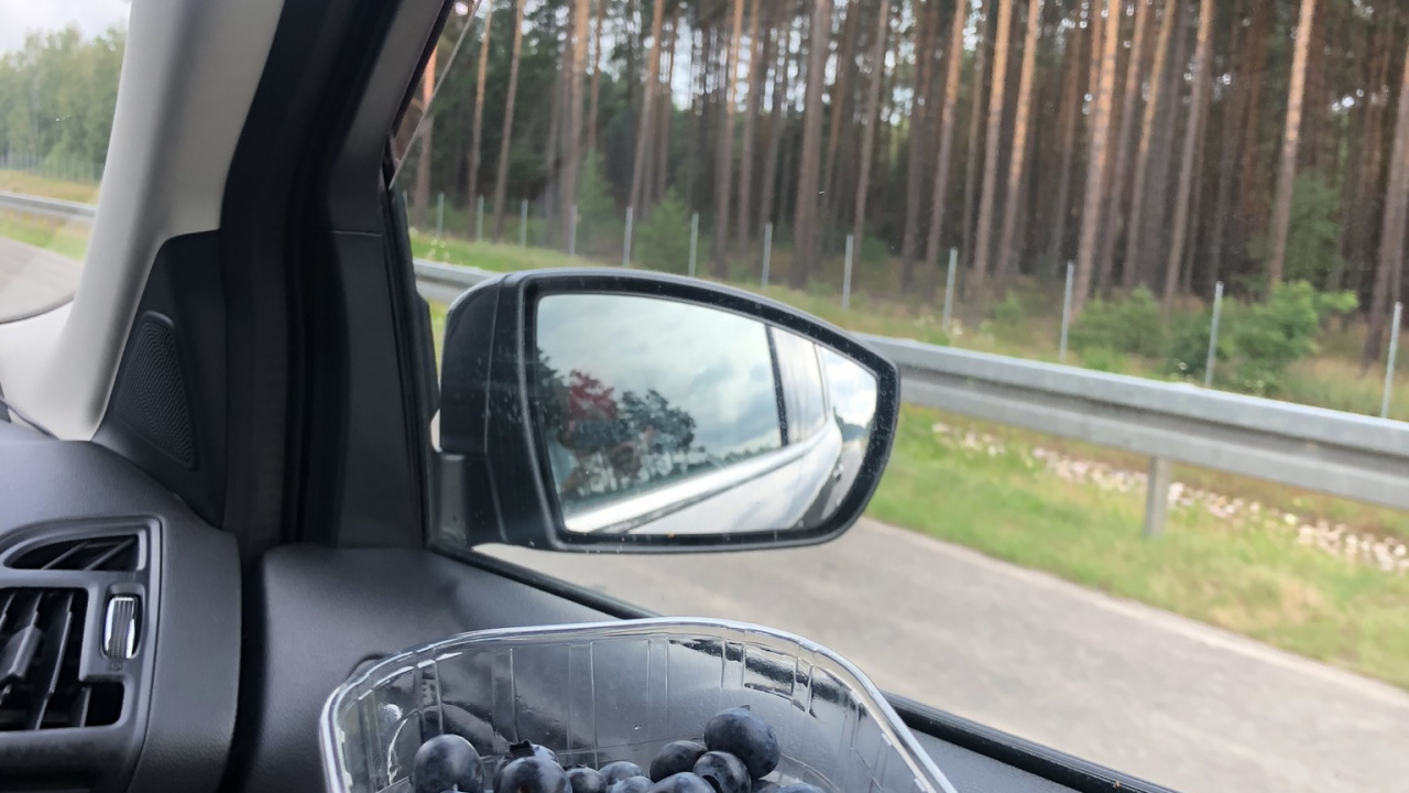 Обои легковые автомобили, наука, небьющиеся, биология, автомобильное зеркало в разрешении 1280x720