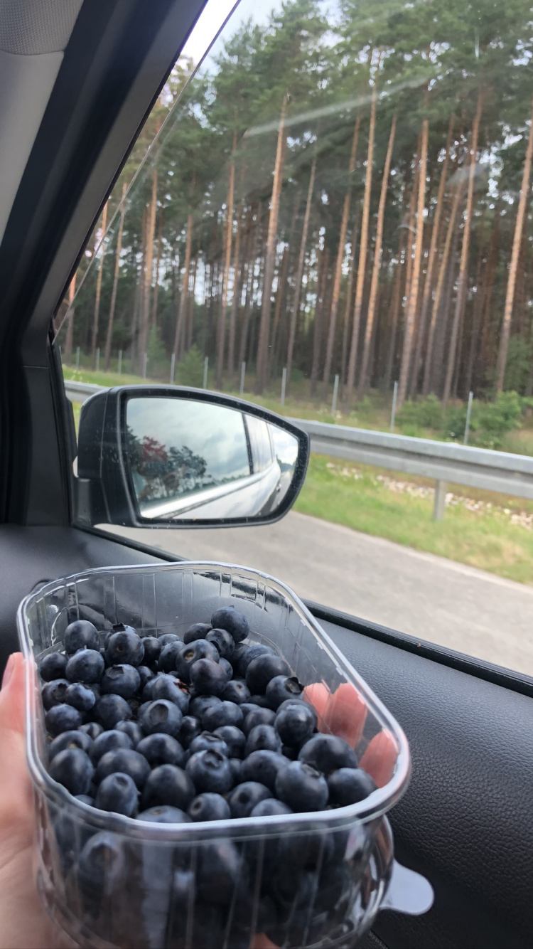 Обои легковые автомобили, наука, небьющиеся, биология, автомобильное зеркало в разрешении 750x1334