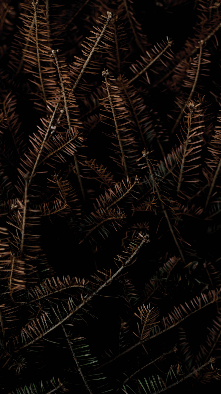 Обои черный и коричневый, постер, галлерикс, графика, арт в разрешении 750x1334