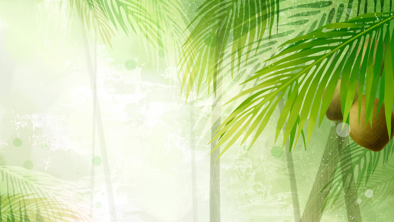 Обои Кокос, зеленый, растительность, дерево, лист в разрешении 1366x768