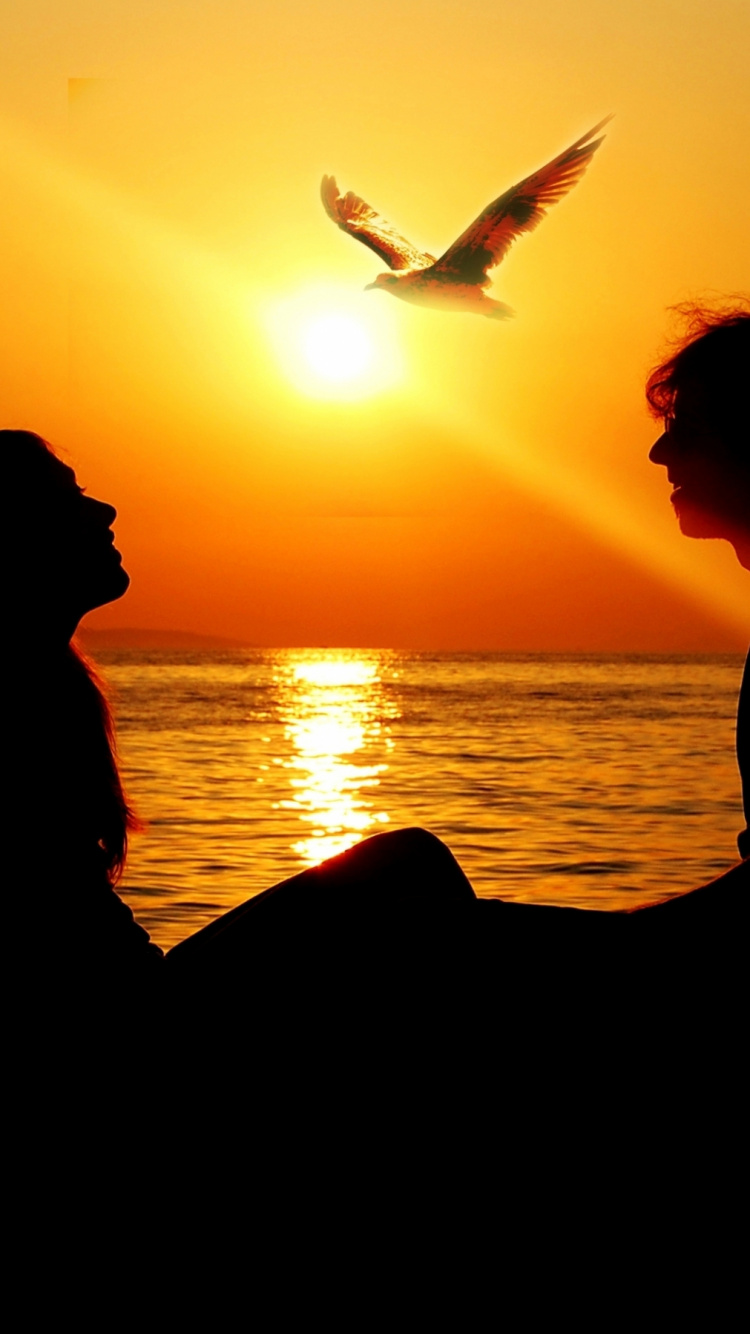 Обои роман, закат, горизонт, послесвечение, восход солнца в разрешении 750x1334