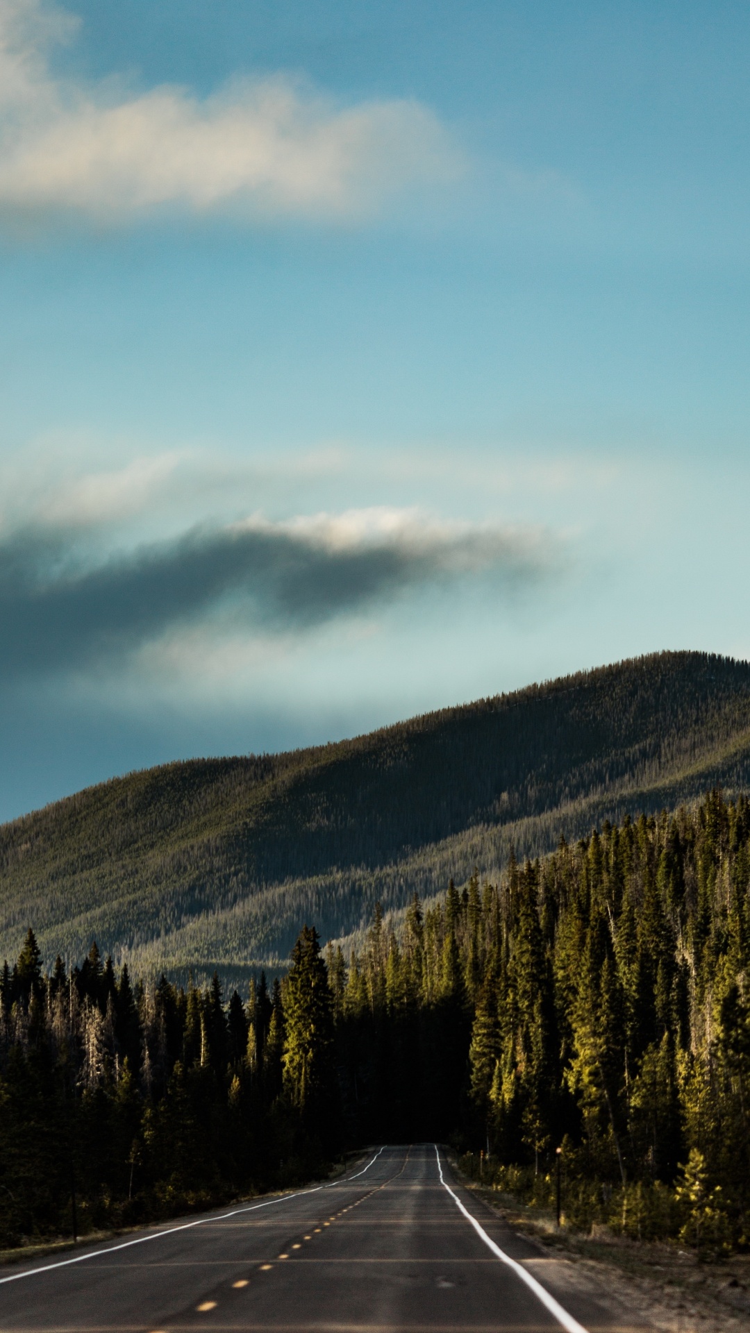 Обои вождение в лесу, лес, дорога, облако, гора в разрешении 1080x1920
