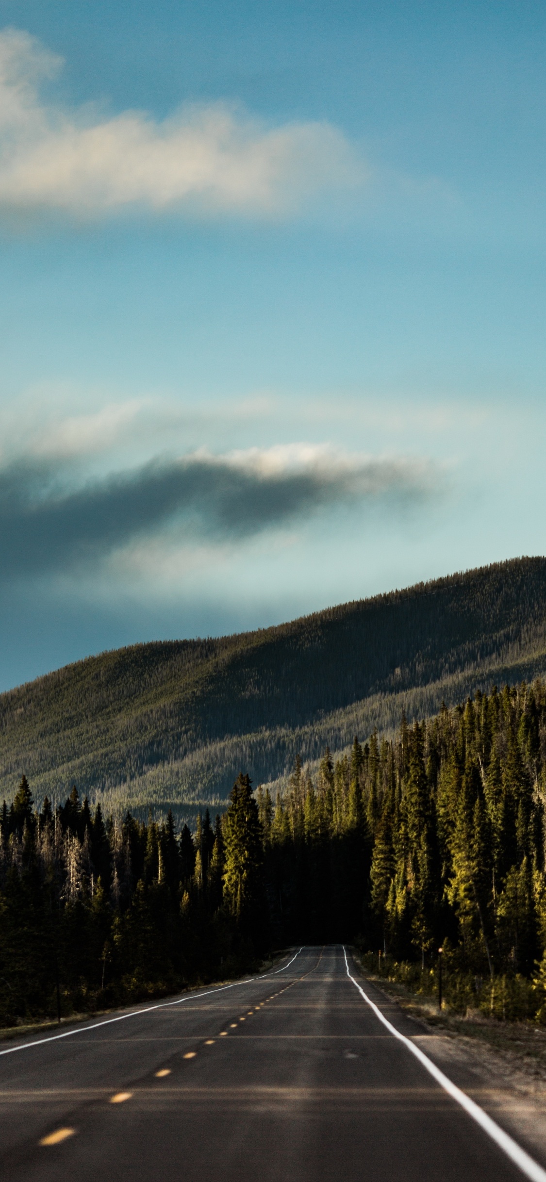 Обои вождение в лесу, лес, дорога, облако, гора в разрешении 1125x2436