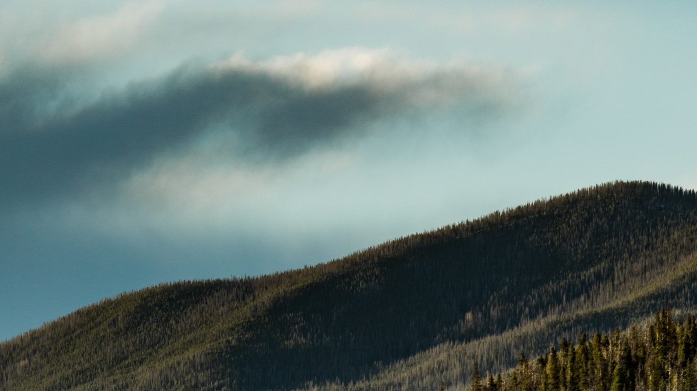 Обои вождение в лесу, лес, дорога, облако, гора в разрешении 1366x768