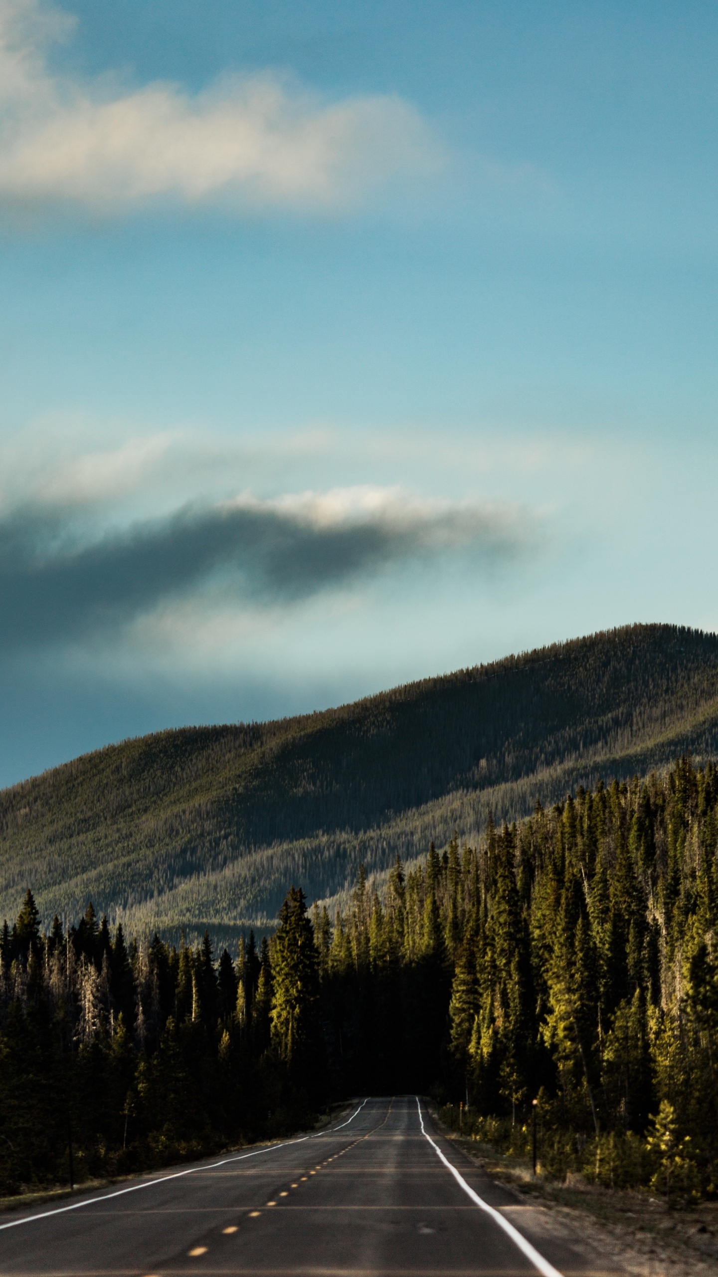 Обои вождение в лесу, лес, дорога, облако, гора в разрешении 1440x2560