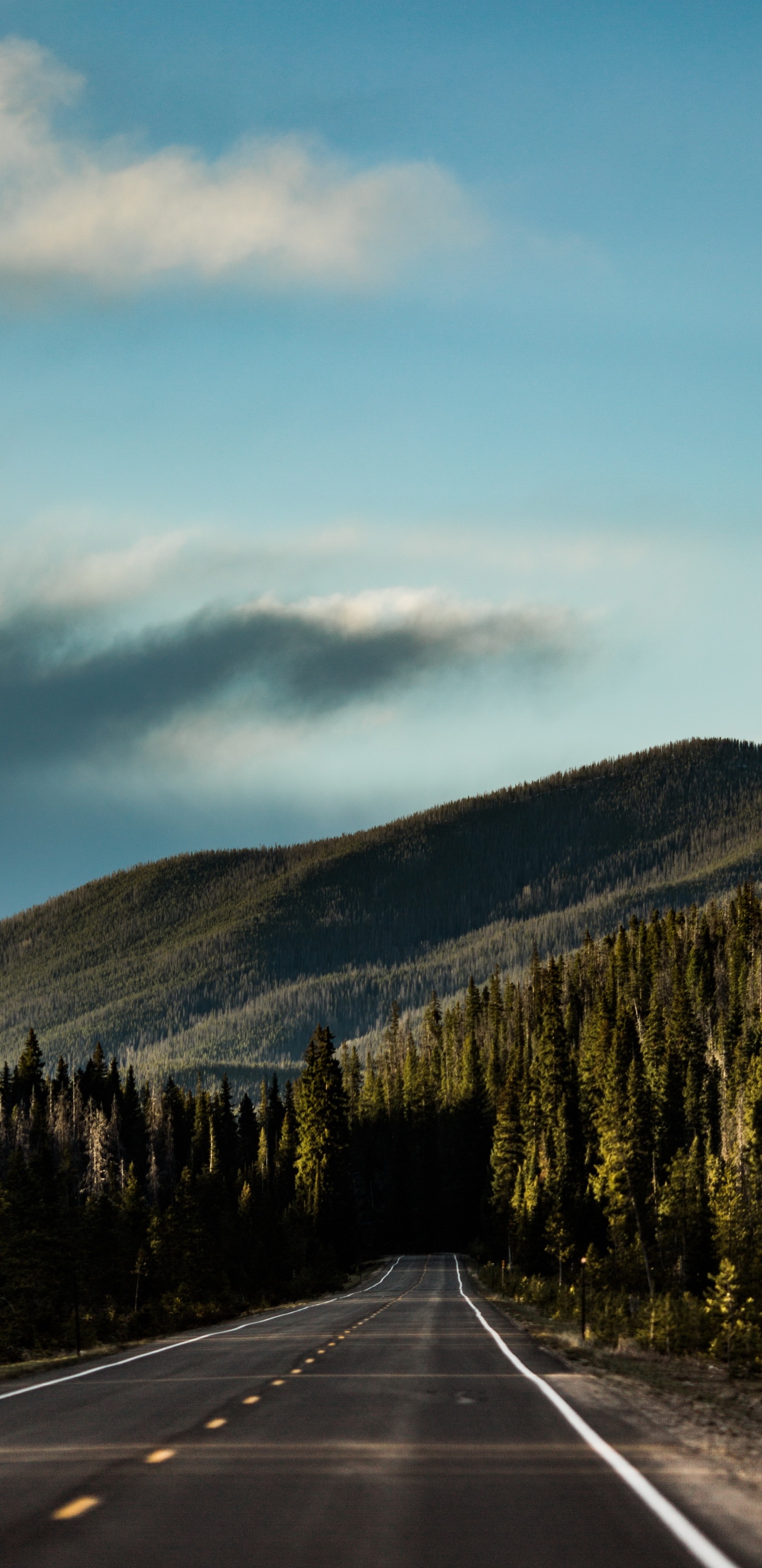 Обои вождение в лесу, лес, дорога, облако, гора в разрешении 1440x2960