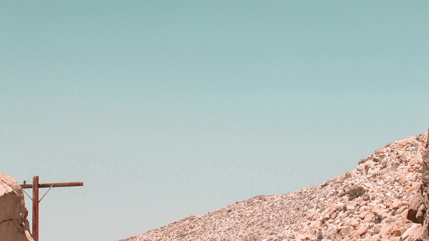 Обои коричневый цвет, древесина, пейзаж, растение, полутона и оттенки в разрешении 1366x768