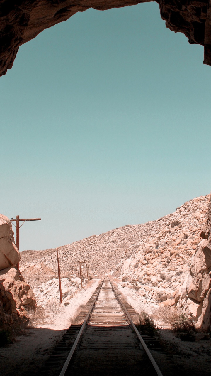 Обои коричневый цвет, древесина, пейзаж, растение, полутона и оттенки в разрешении 720x1280