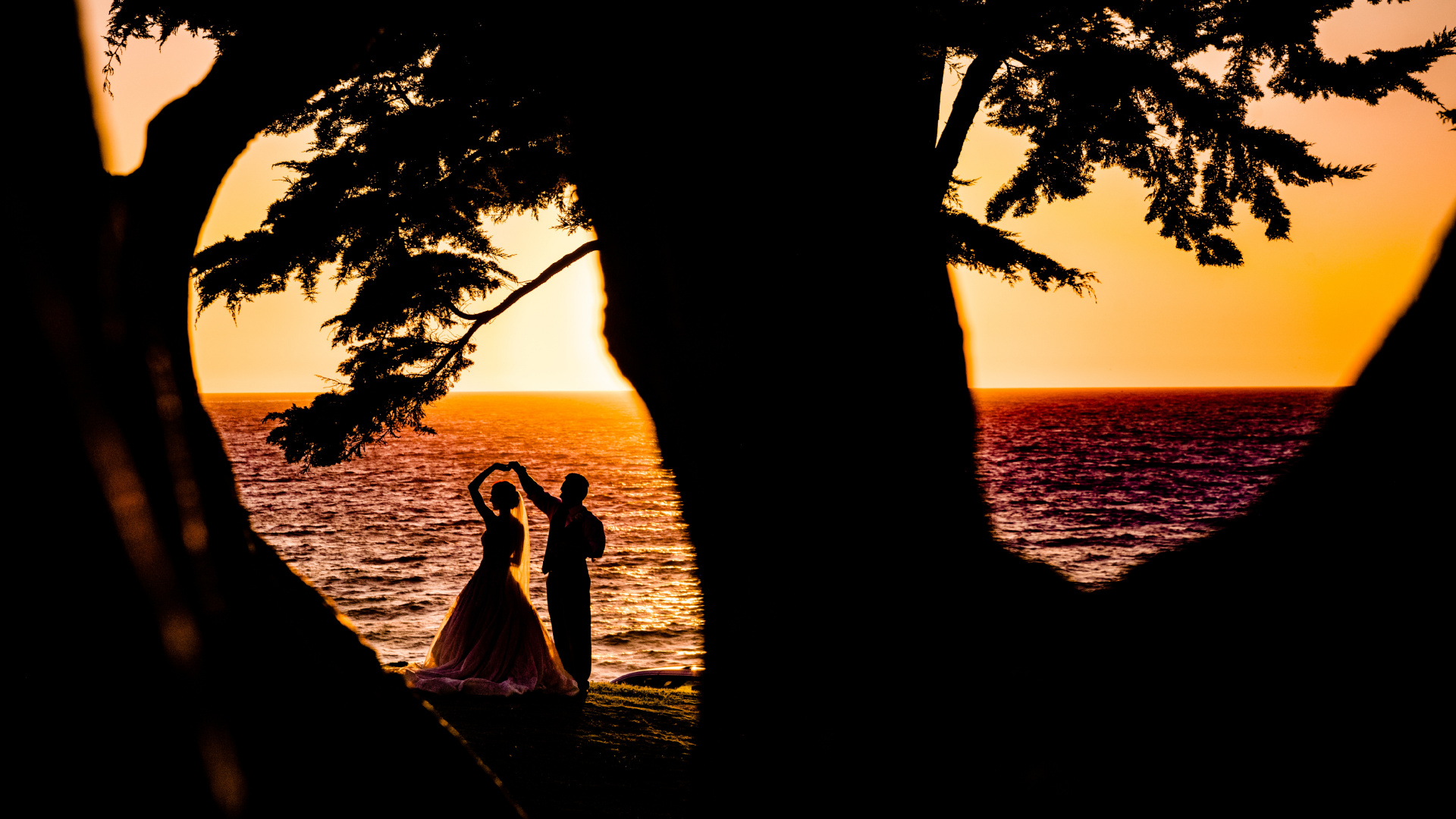 Обои закат, дерево, восход солнца, вода, древесные растения в разрешении 1920x1080