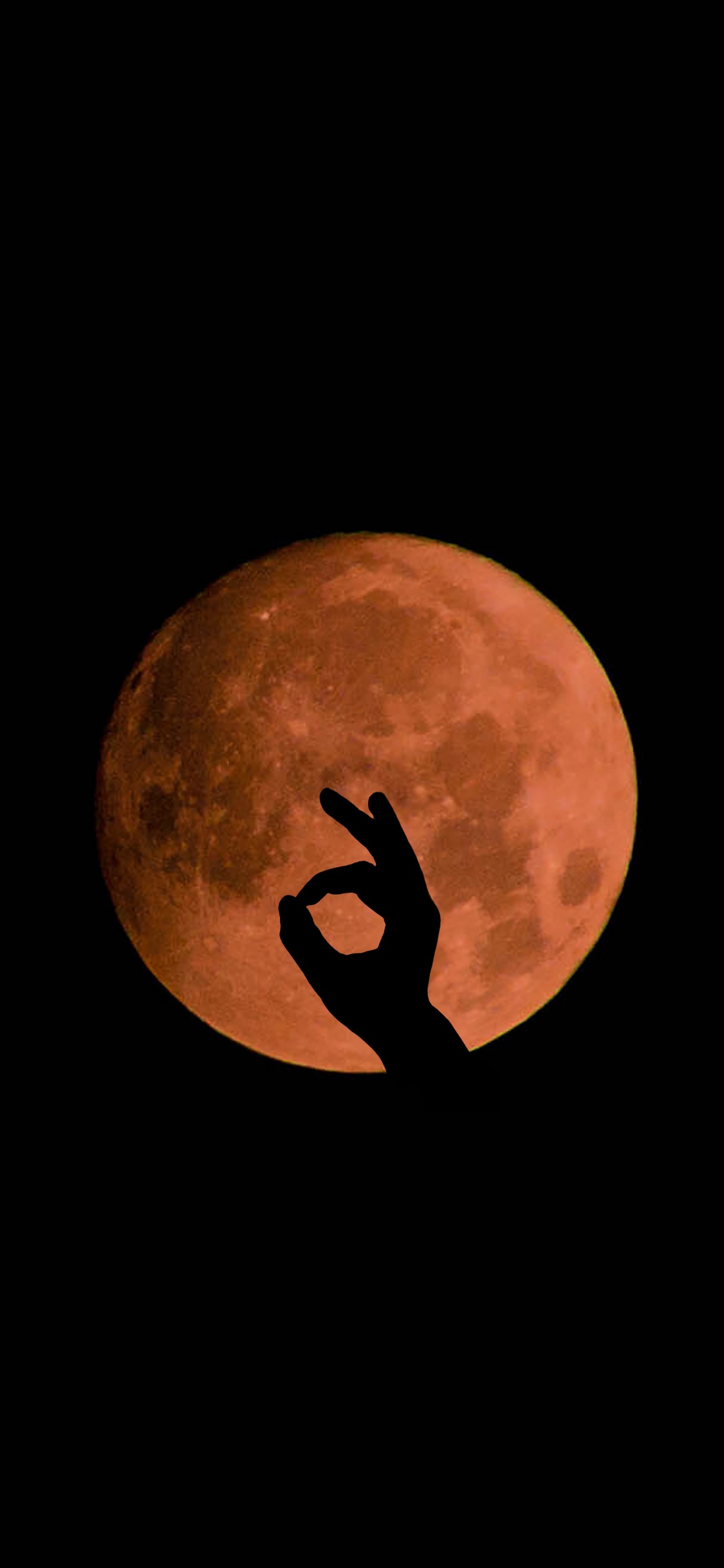 Обои луна, свет, небесное явление, ночь, Апельсин в разрешении 1125x2436