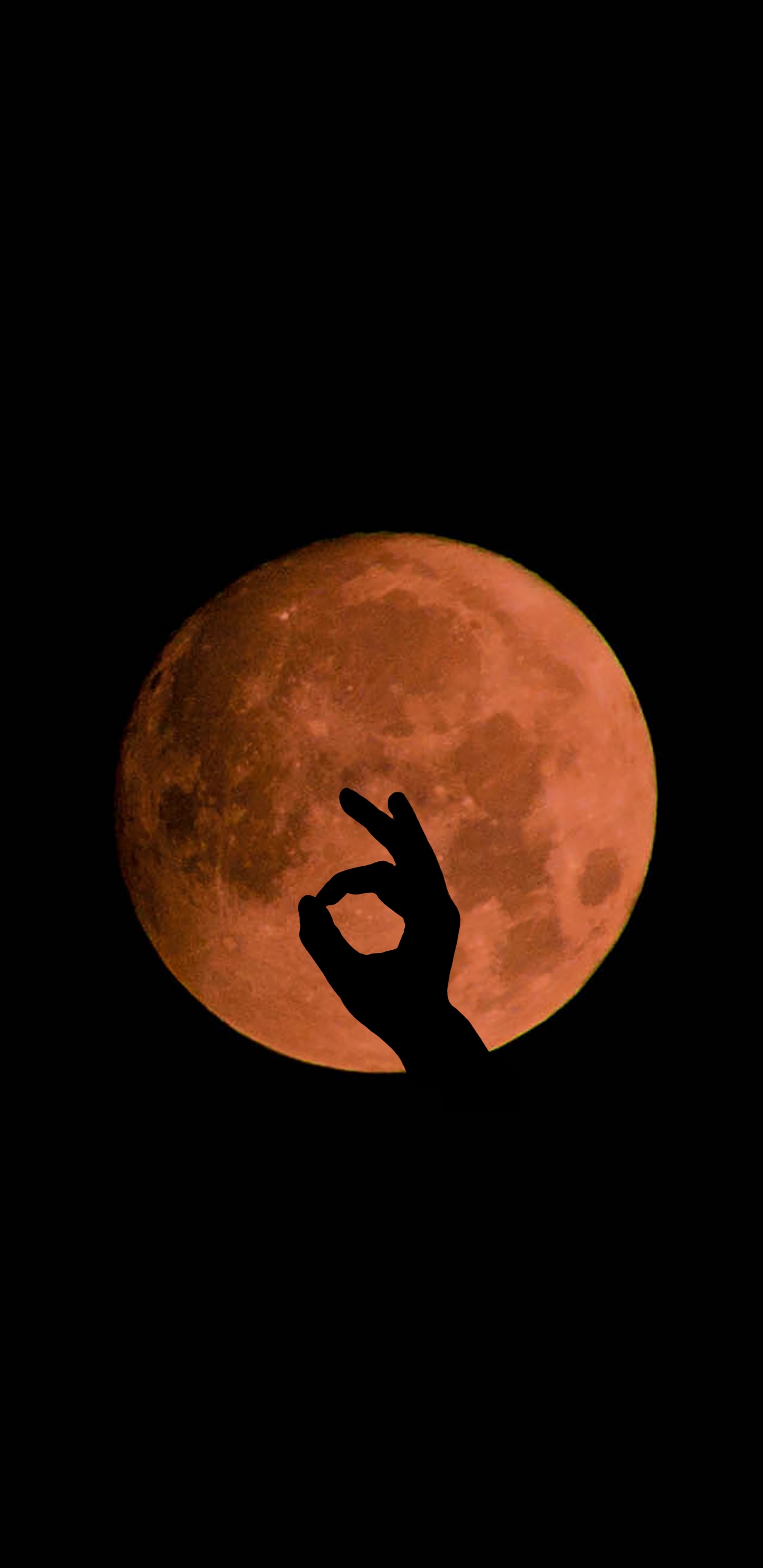 Обои луна, свет, небесное явление, ночь, Апельсин в разрешении 1440x2960