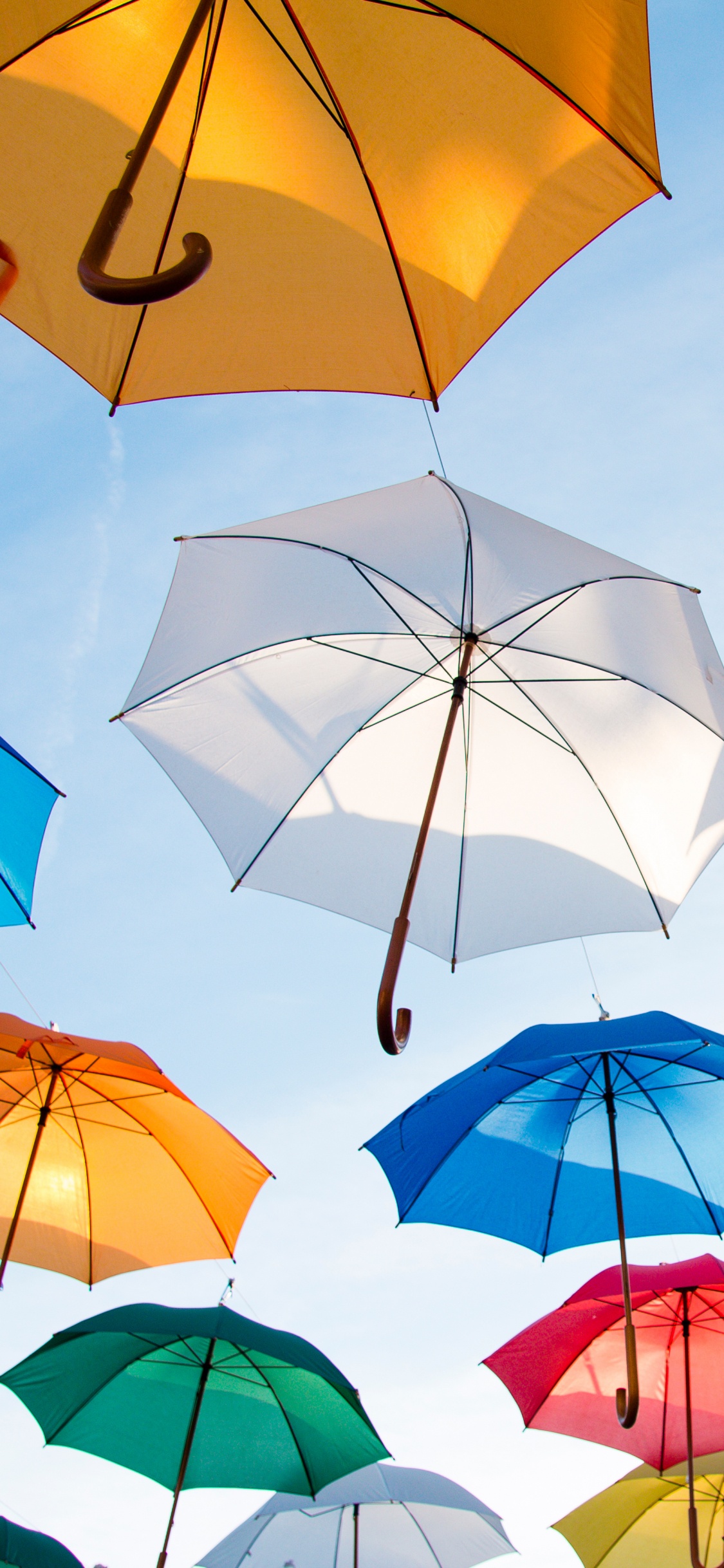 Обои зонтик, лист, модный аксессуар, тень, небо в разрешении 1125x2436