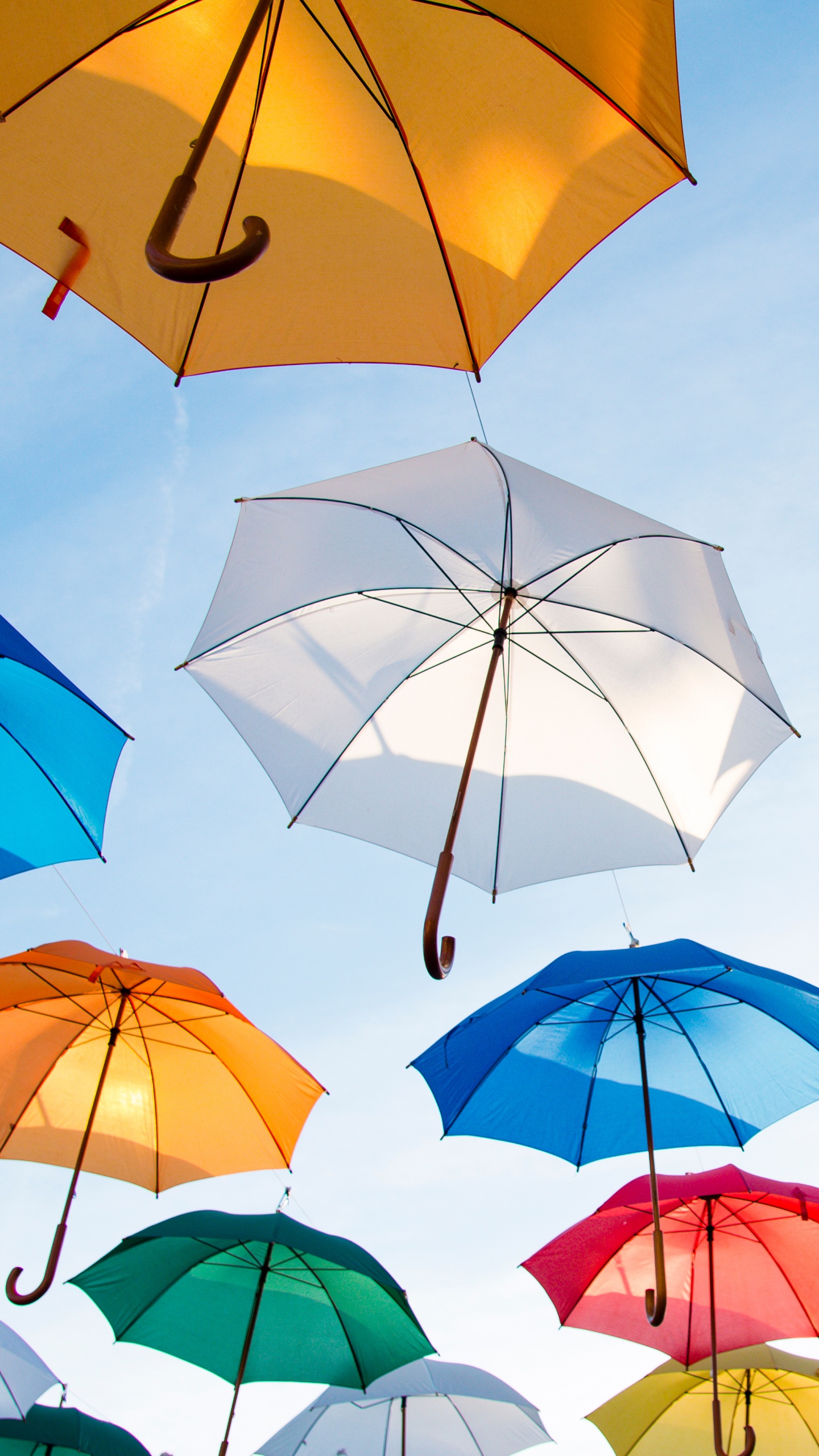 Обои зонтик, лист, модный аксессуар, тень, небо в разрешении 1440x2560