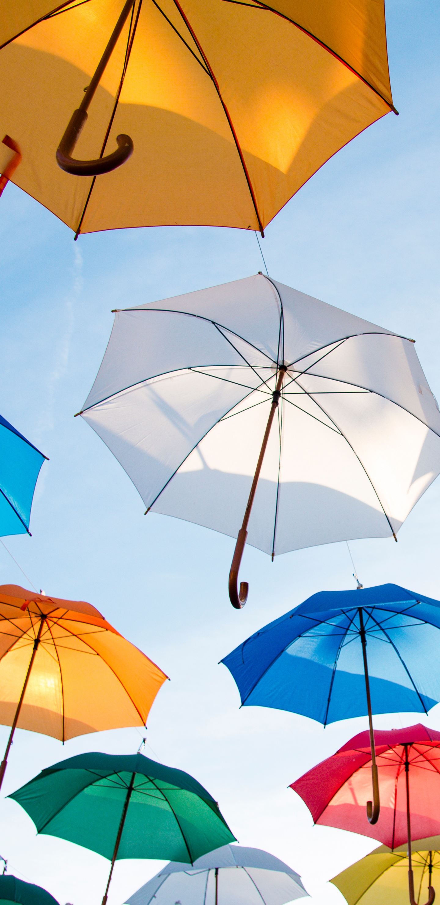 Обои зонтик, лист, модный аксессуар, тень, небо в разрешении 1440x2960