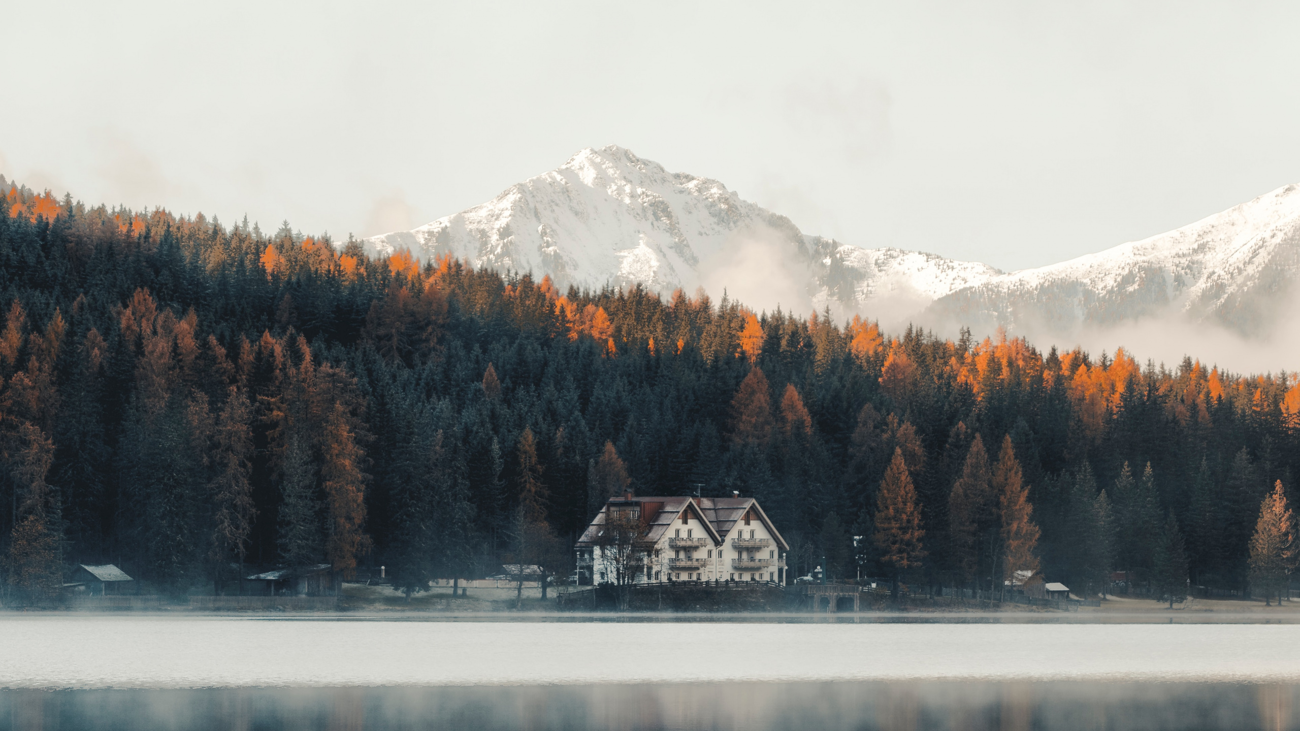 Обои природа, вода, отражение, озеро, дерево в разрешении 2560x1440