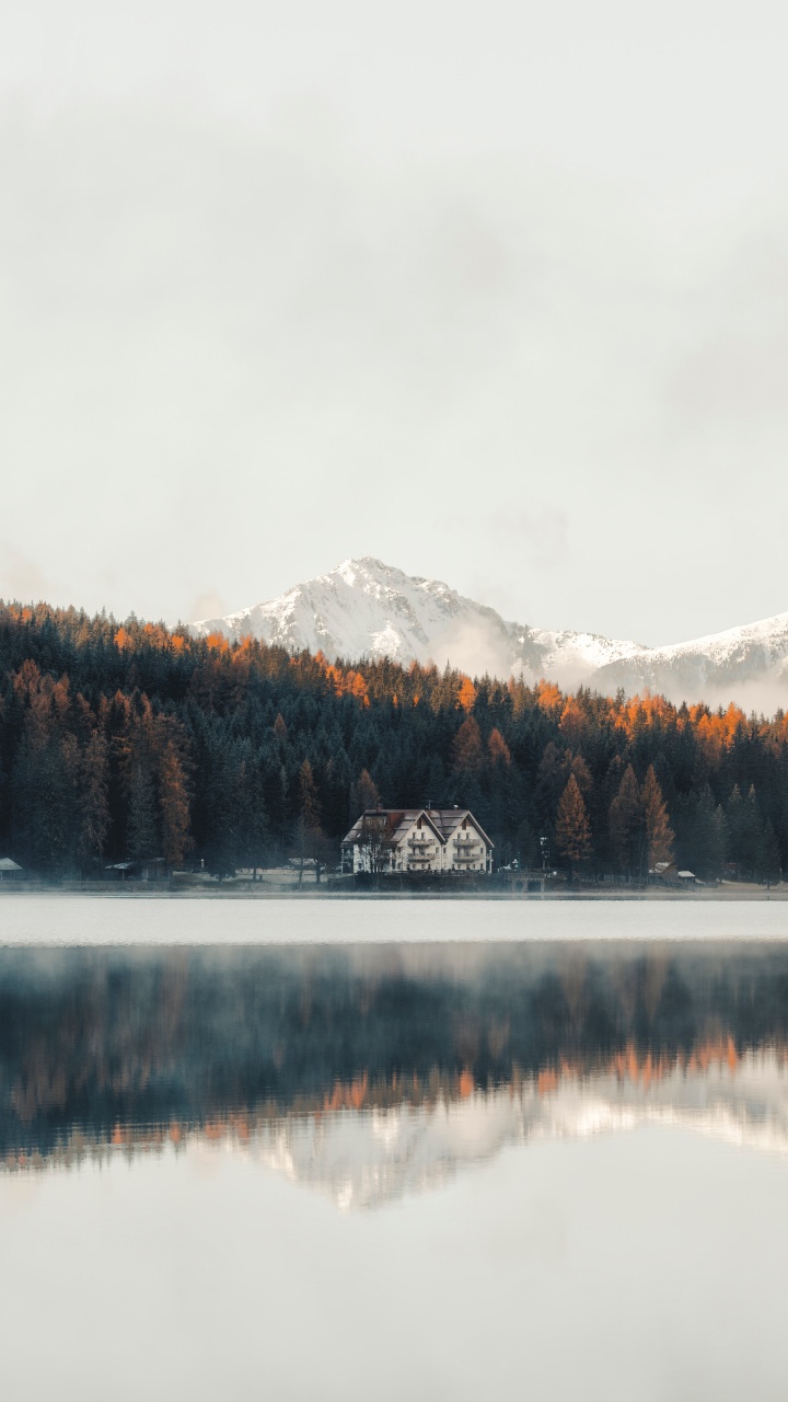 Обои природа, вода, отражение, озеро, дерево в разрешении 720x1280