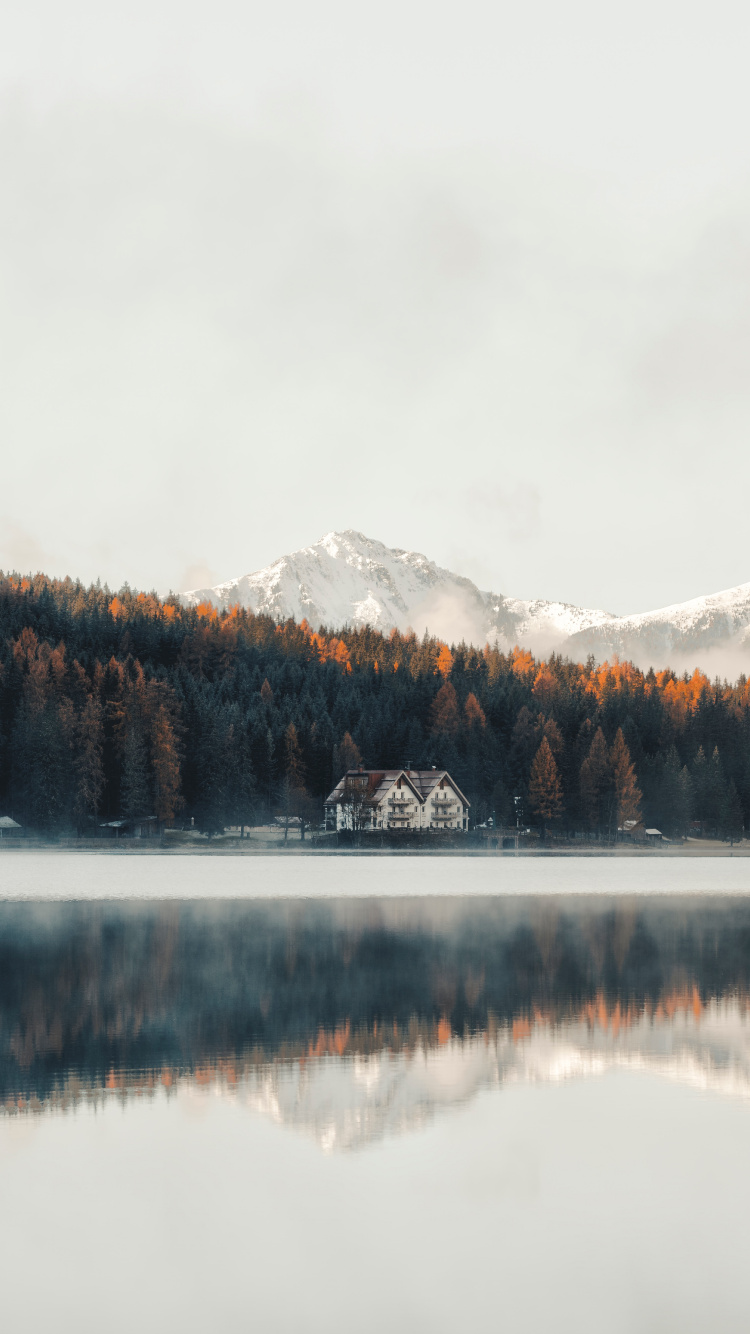 Обои природа, вода, отражение, озеро, дерево в разрешении 750x1334