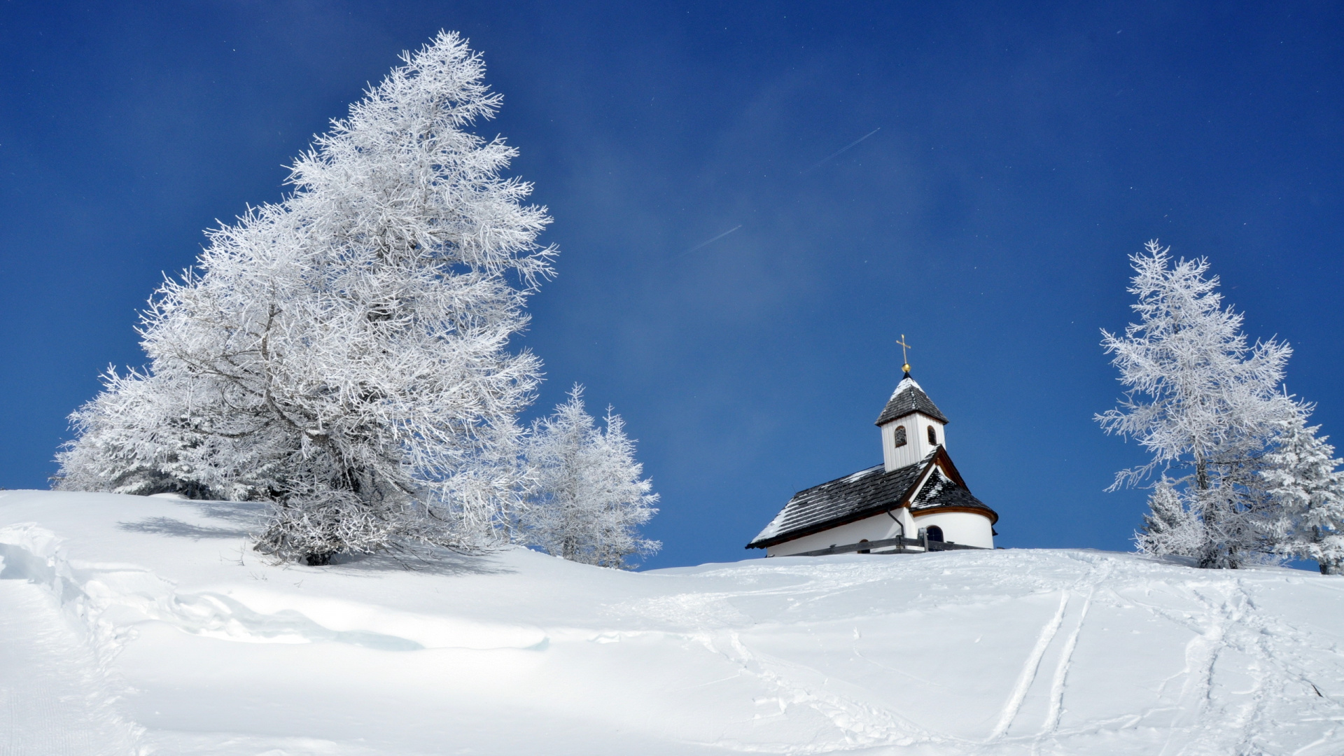 Обои снег, зима, дерево, замораживание, мороз в разрешении 1920x1080