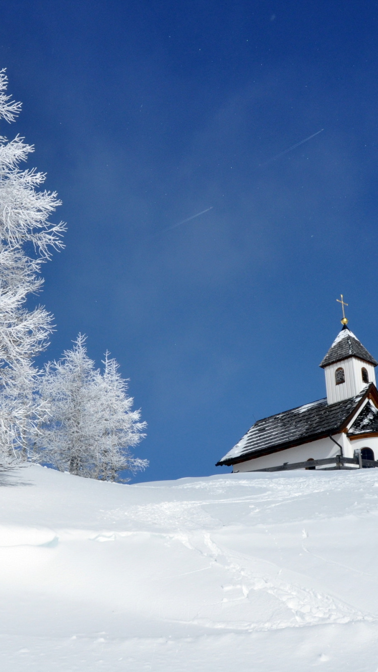 Обои снег, зима, дерево, замораживание, мороз в разрешении 750x1334