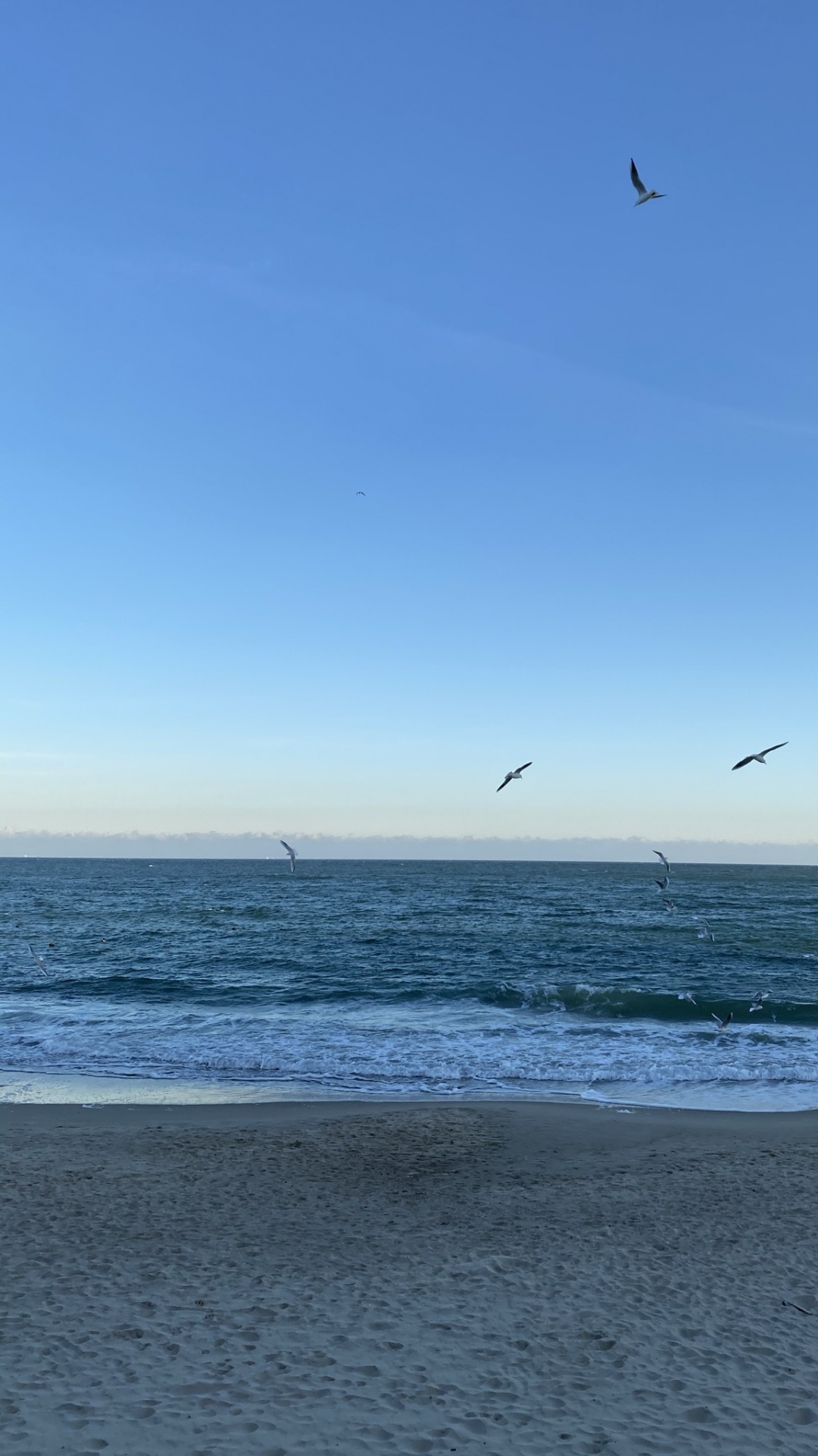 Обои море, пляж, пляж алки, openstreetmap, водоем в разрешении 1080x1920